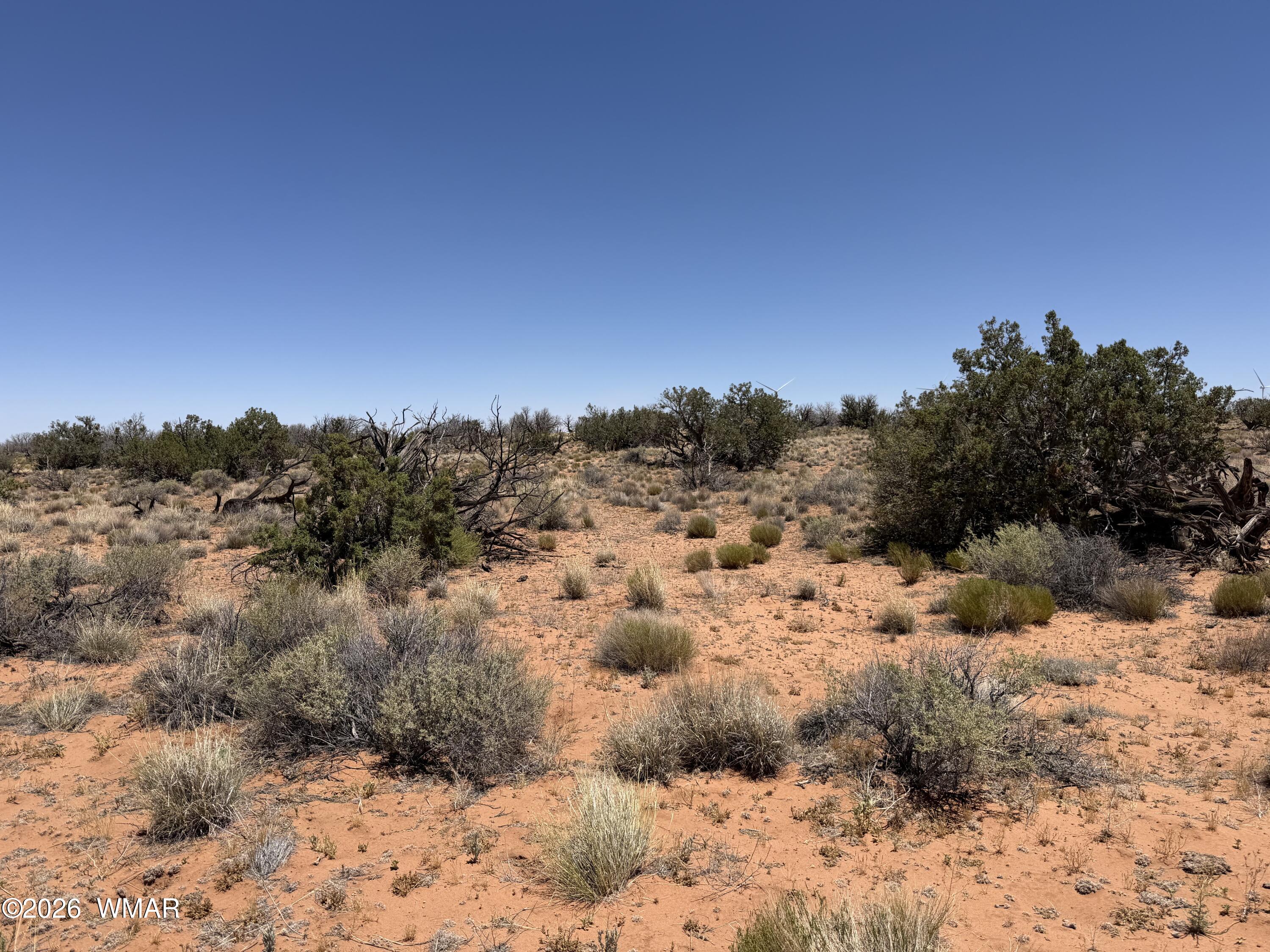 Lot 276 Chev Canyon Ranch, Unit 3 Overgaard, AZ 85933 - Photo 6 of 18