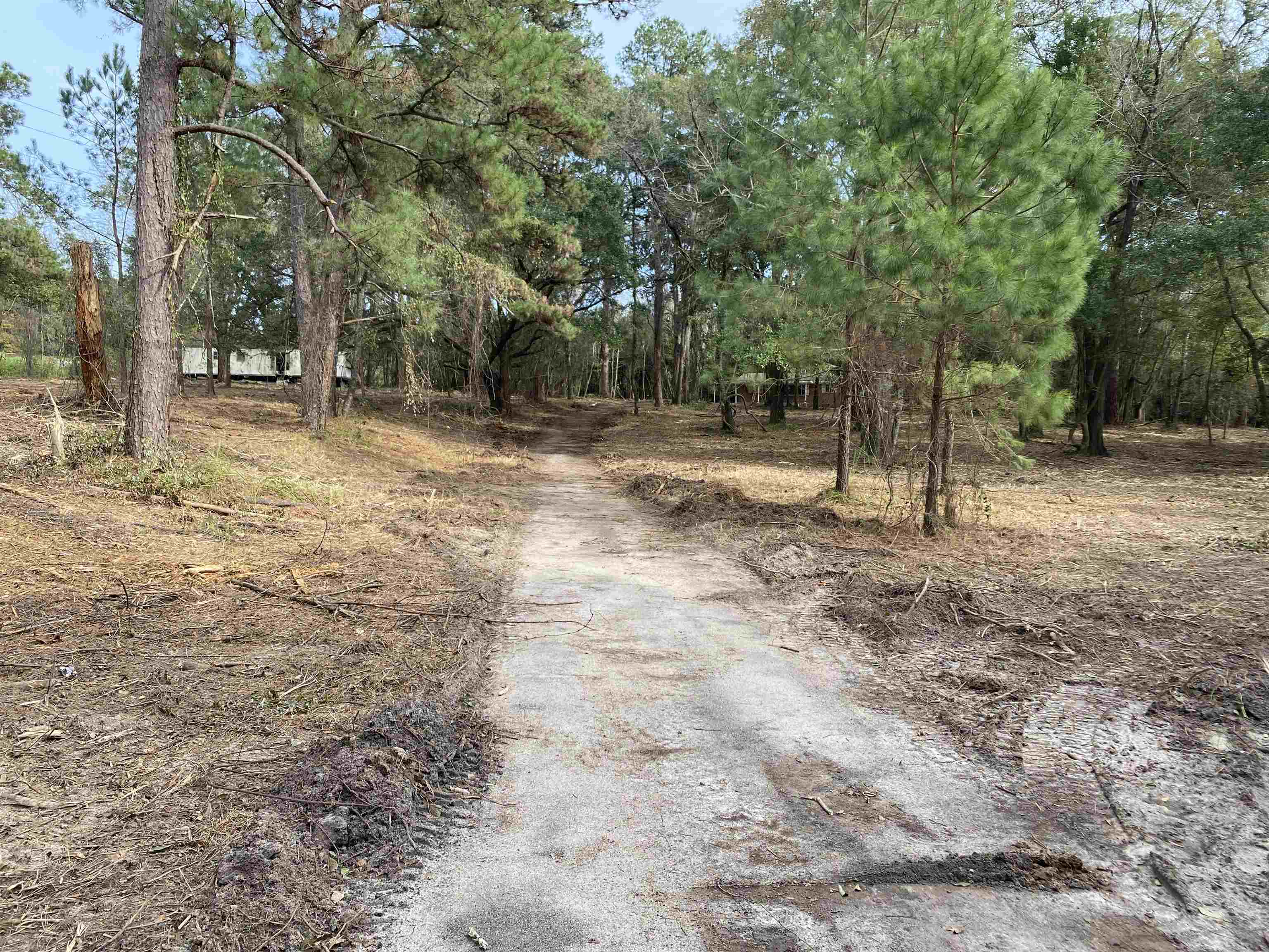 2331 Trimble Road Tallahassee, FL 32303 - Photo 4 of 16 Gallery Image 4