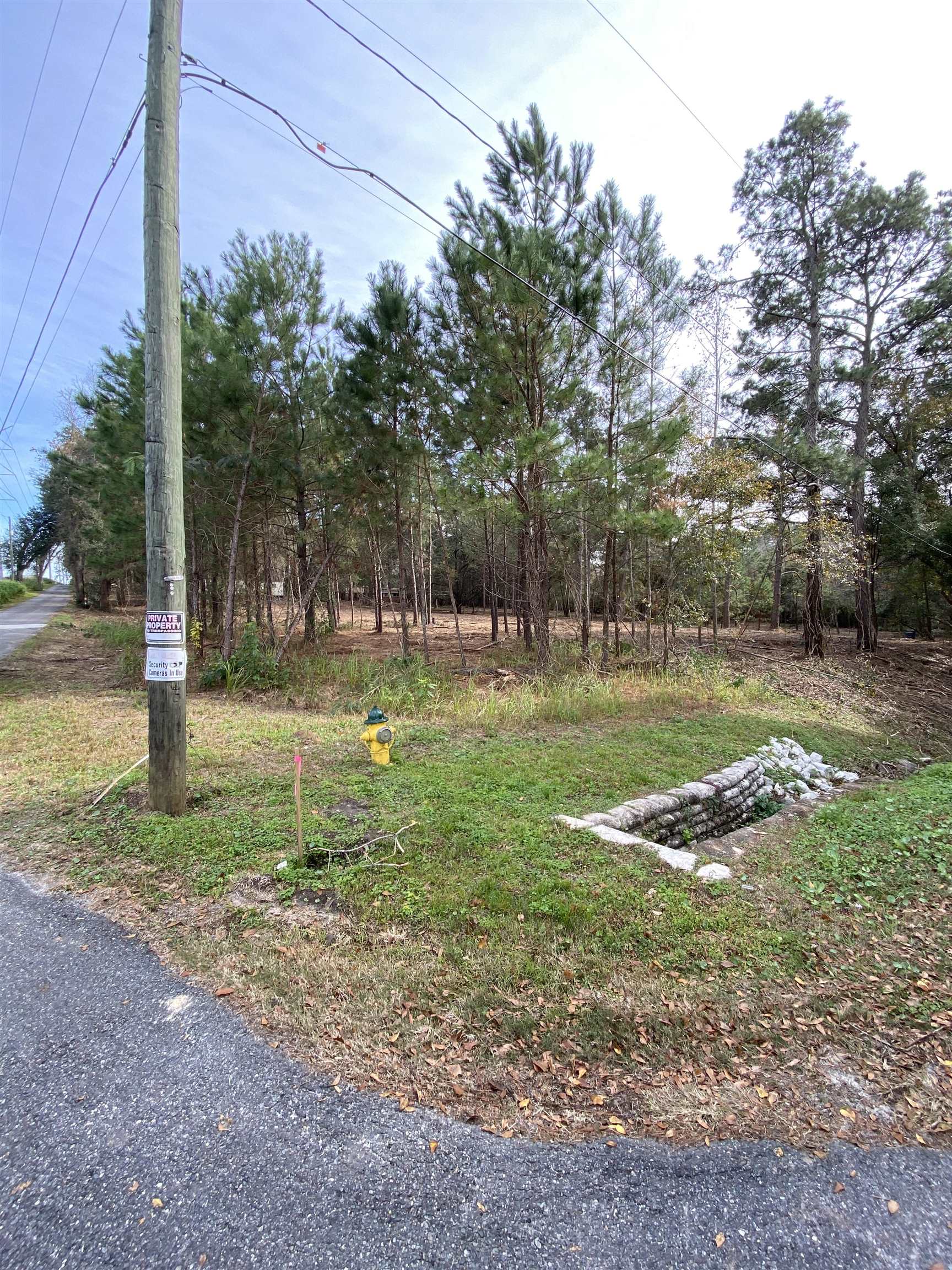 2331 Trimble Road Tallahassee, FL 32303 - Photo 7 of 16 Gallery Image 7
