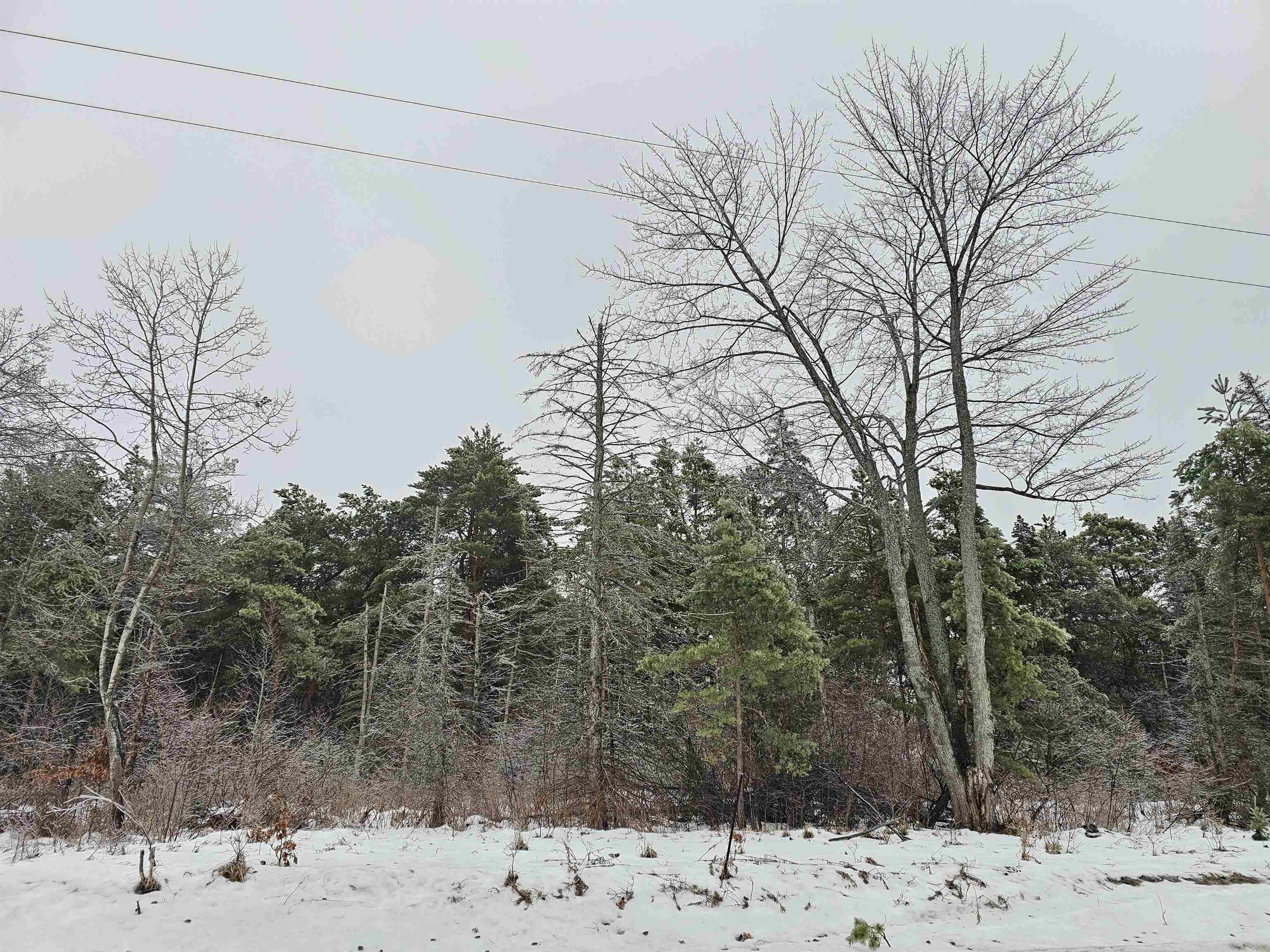 0 South Dickerson Road Lake City, MI 49651 - Photo 5 of 16