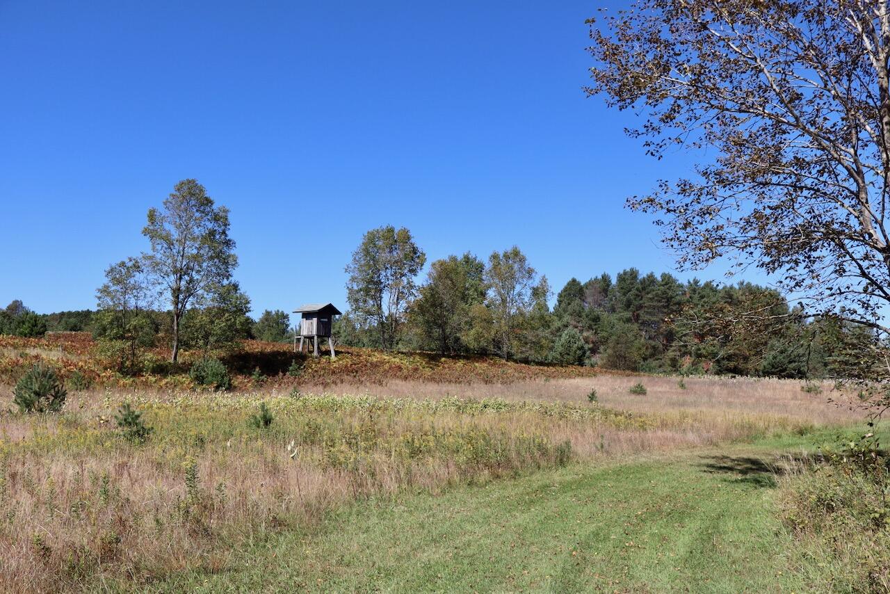 20200 Hibma Road Tustin, MI 49688 - Photo 68 of 104 064