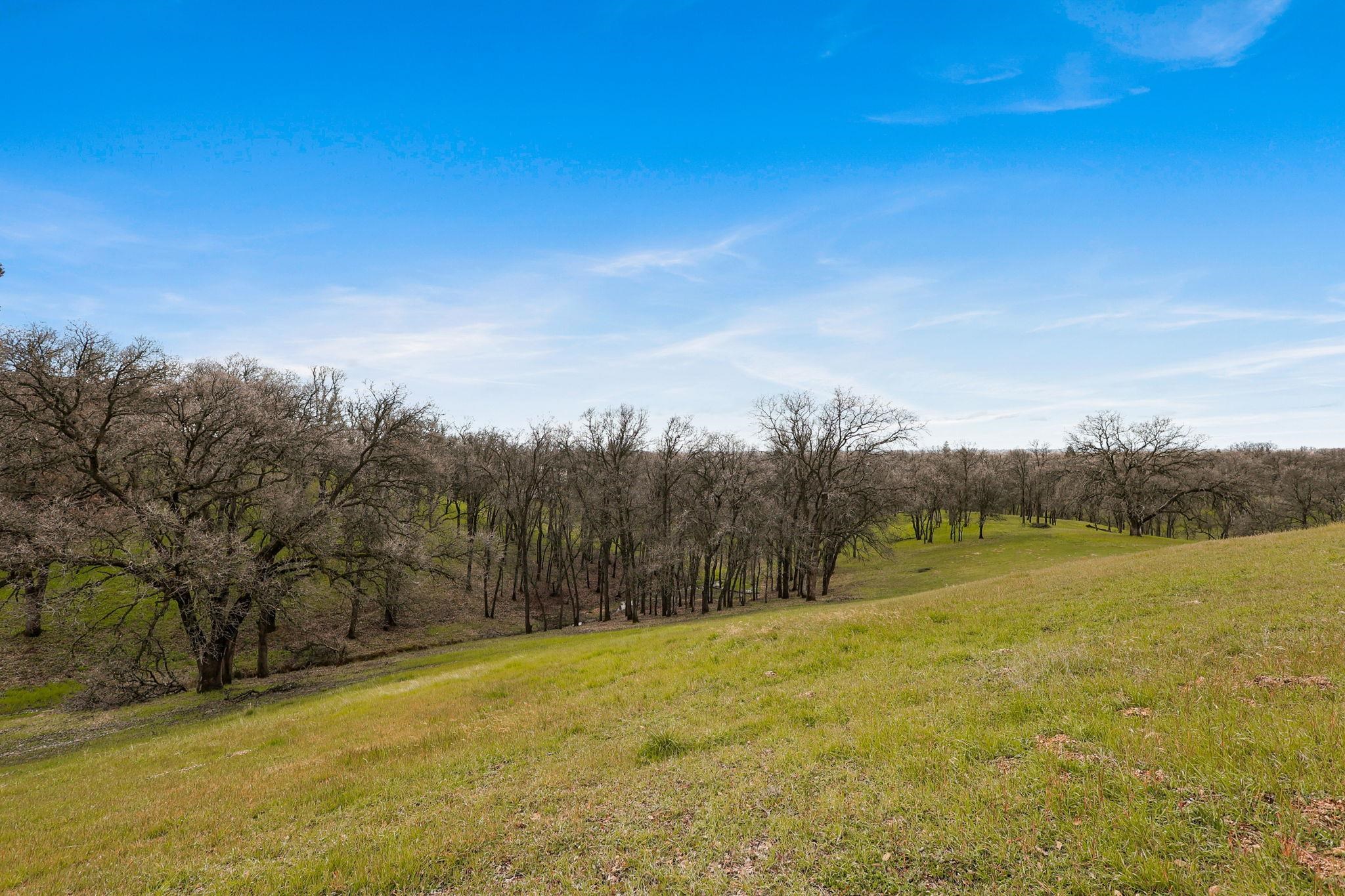 21755 Wilcox Road Red Bluff, CA 96080 - Photo 48 of 49