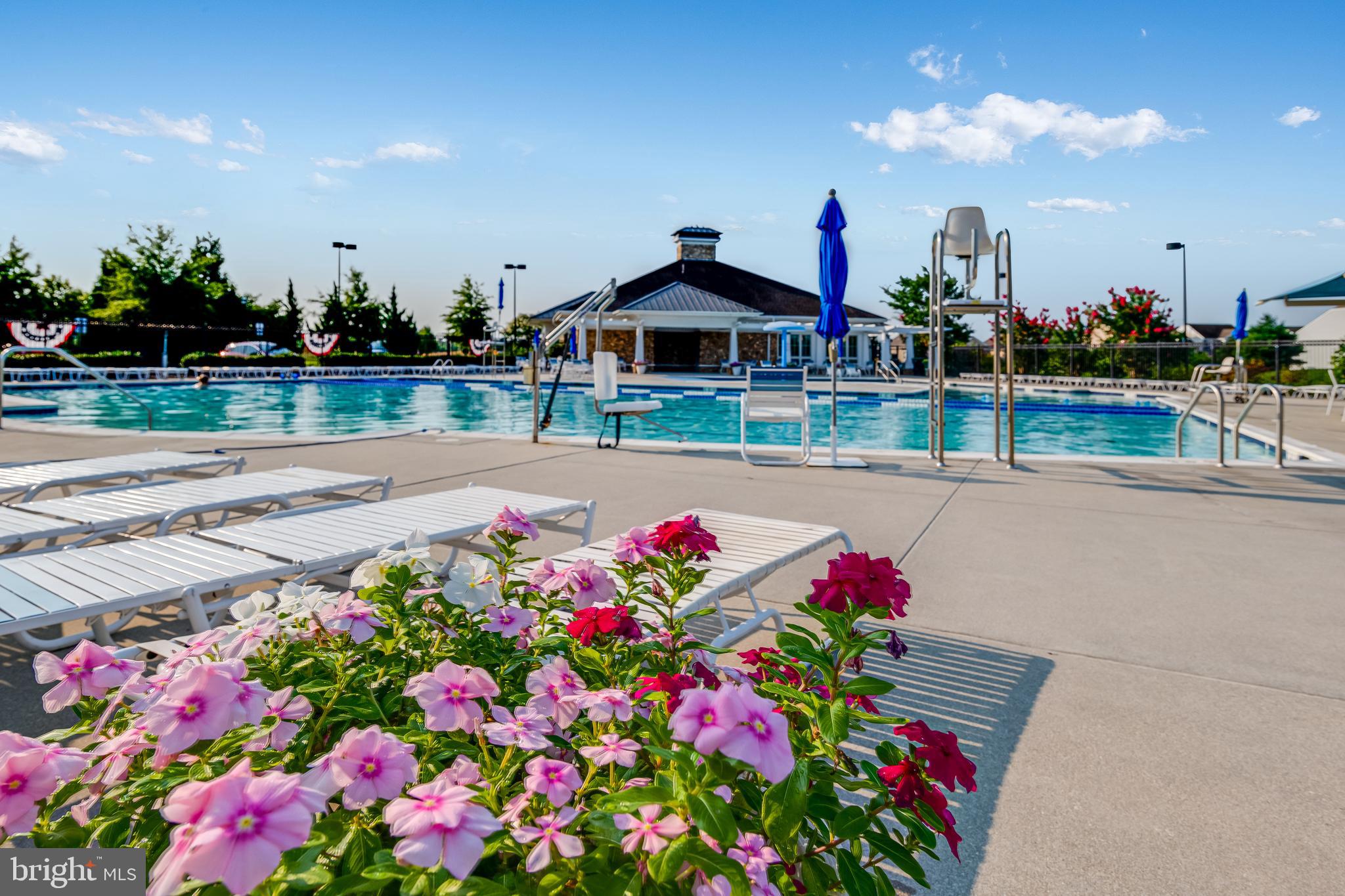 29424 Oxford Drive Millsboro, DE 19966 - Photo 48 of 118