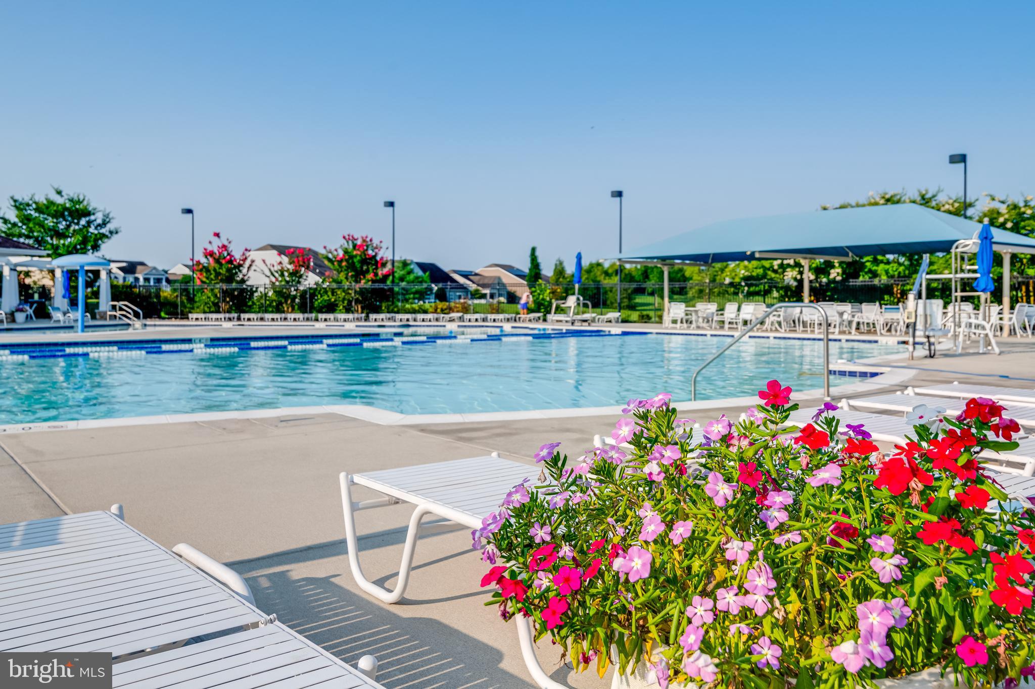 29424 Oxford Drive Millsboro, DE 19966 - Photo 49 of 118