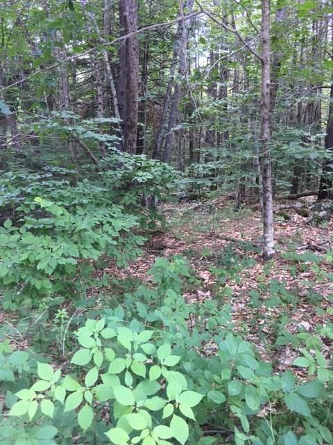 Lot 3 Dead River Road Bowdoin, ME 04287 - Photo 9 of 10 Photo