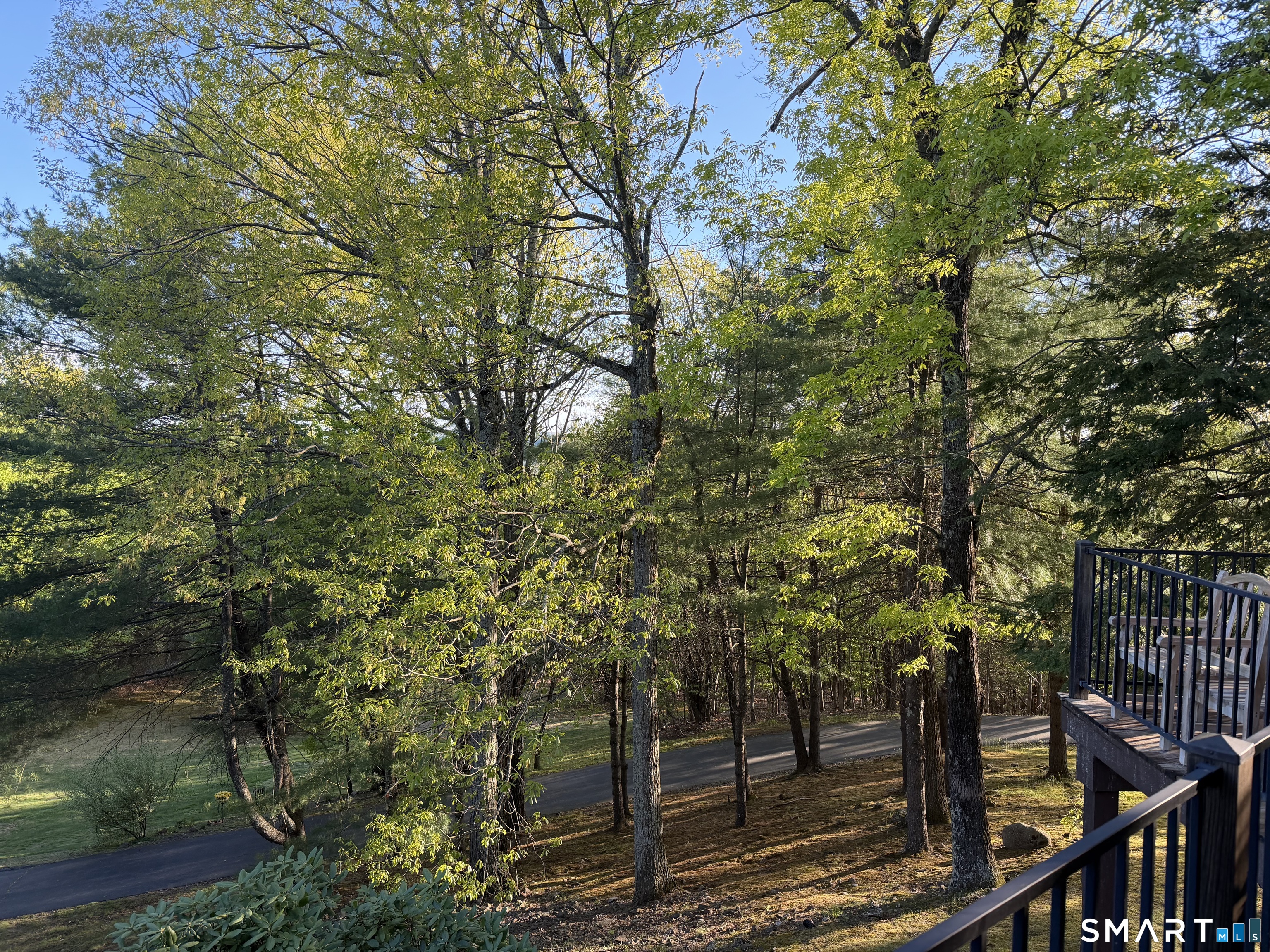 86 Washburn Road Canton, CT 06019 - Photo 34 of 40 a view of outdoor space and yard