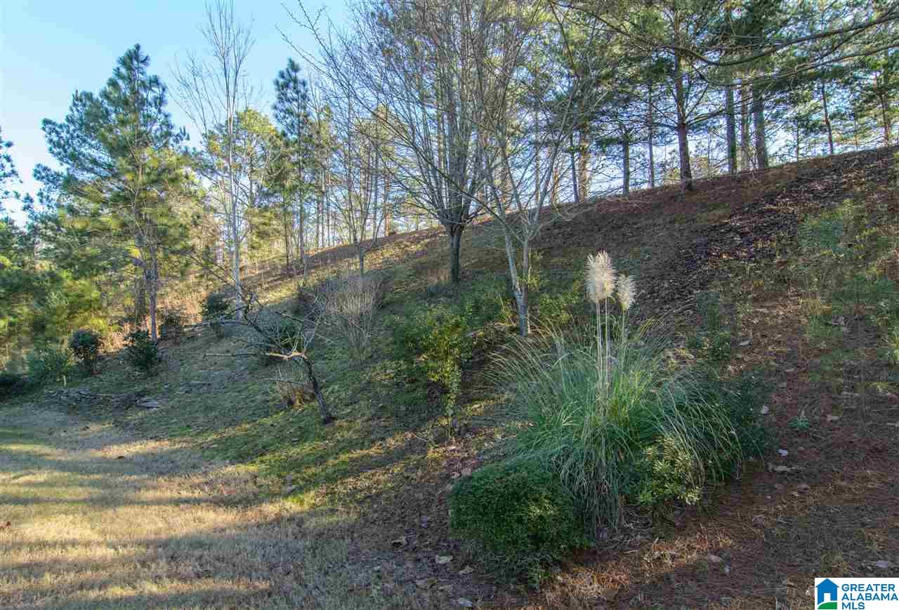 439 North Lake Road Birmingham, AL 35242 - Photo 39 of 44