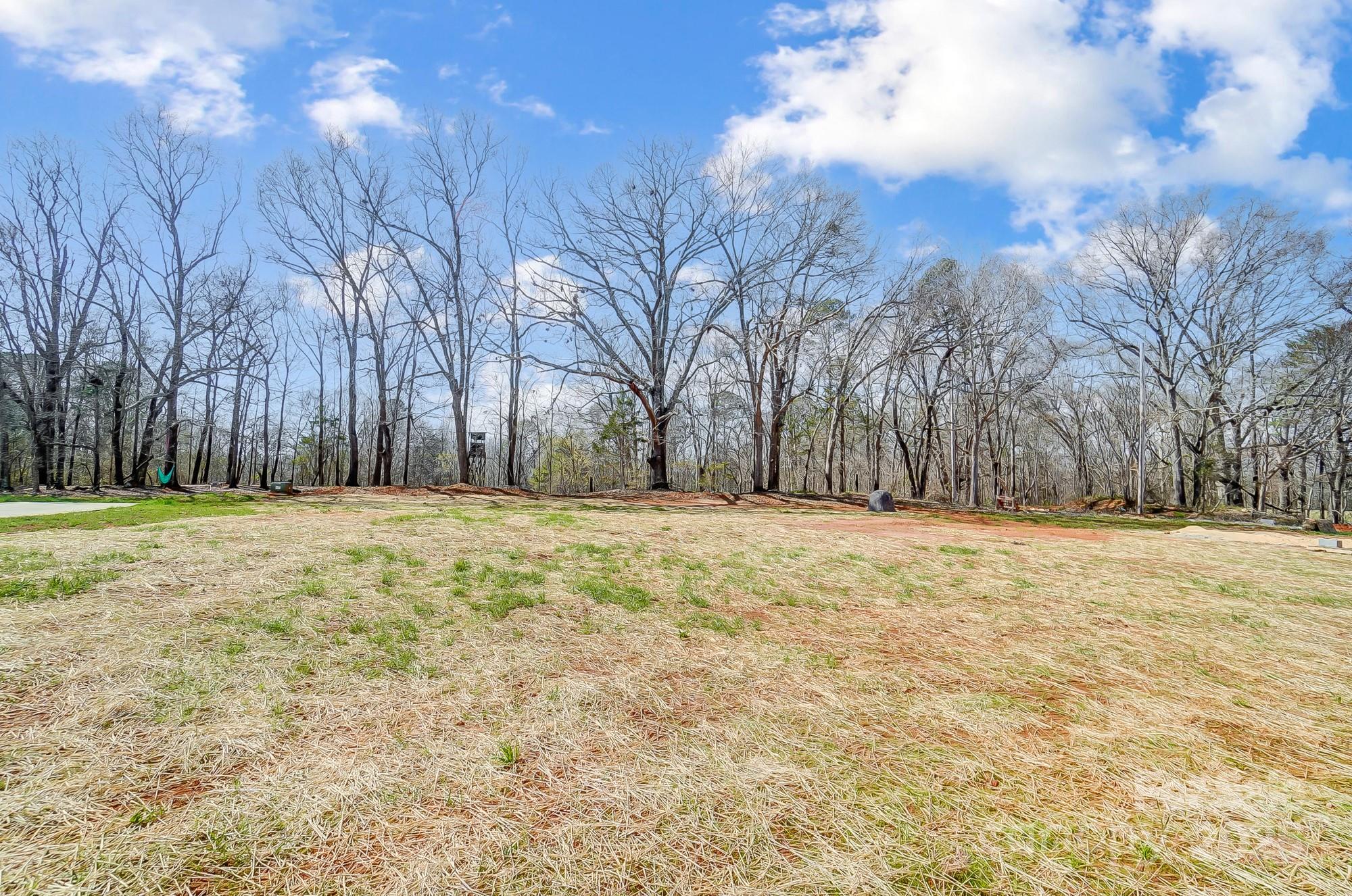 751 White Jenkins Road Bessemer City, NC 28016 - Photo 44 of 46 Gallery Image 44