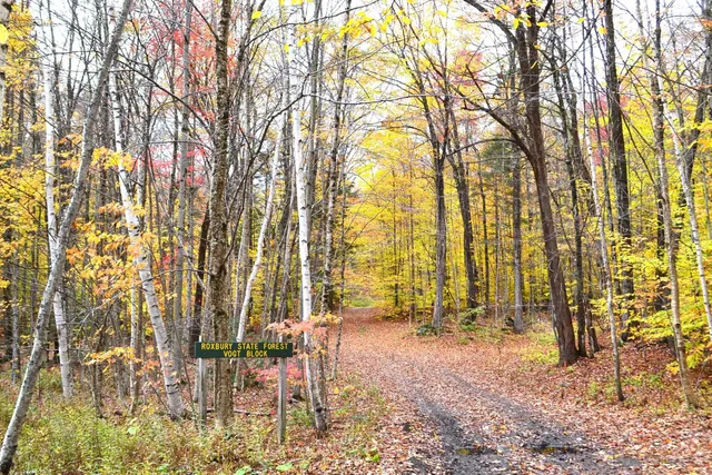 $125,000 | 2305 West Hill Road, Roxbury, VT 05669