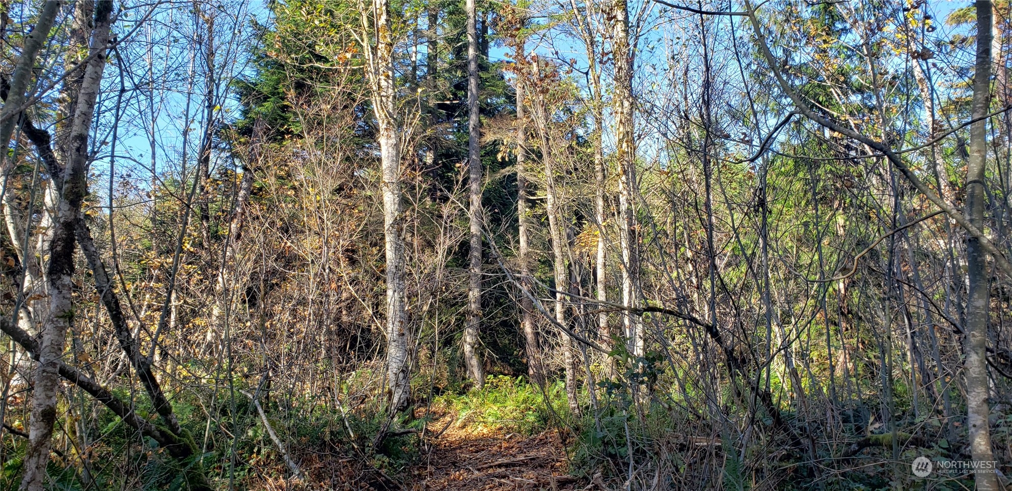 357-lot D Southeast 357-lot D Se Cumberland Ridge Road Southeast Enumclaw, WA 98022 - Photo 12 of 33