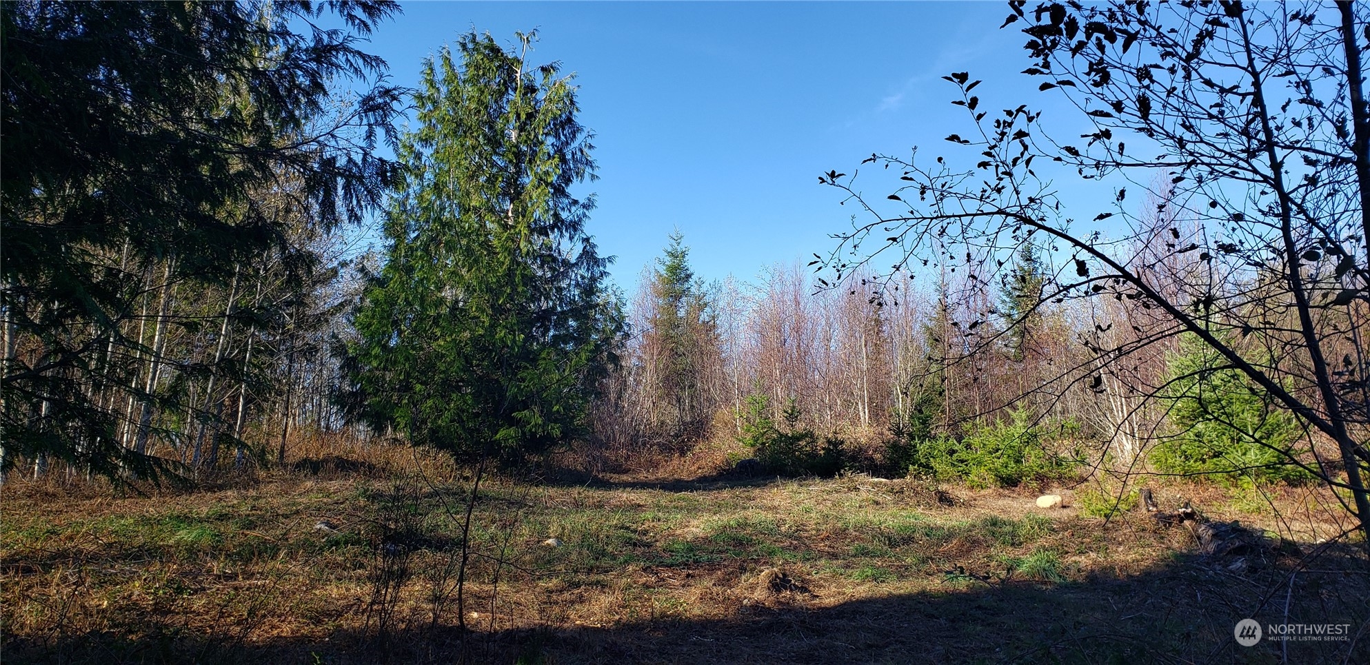 357-lot D Southeast 357-lot D Se Cumberland Ridge Road Southeast Enumclaw, WA 98022 - Photo 20 of 33 a view of a pathway with a tree