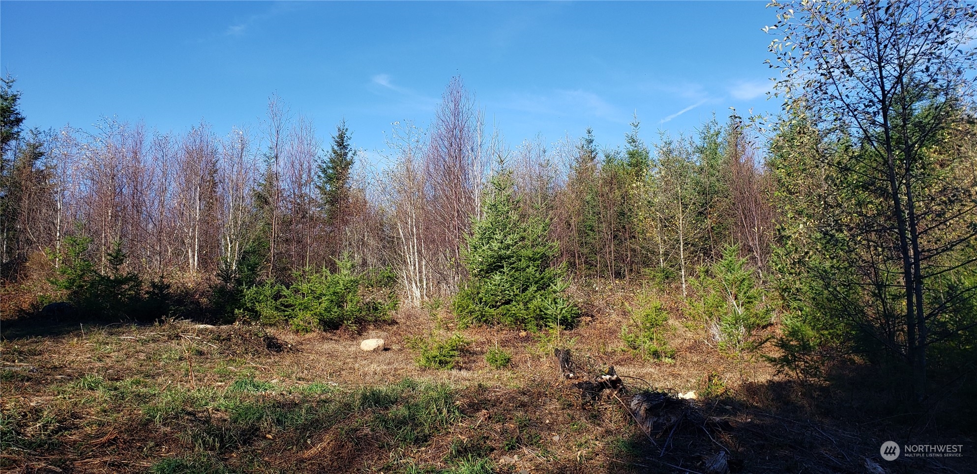 357-lot D Southeast 357-lot D Se Cumberland Ridge Road Southeast Enumclaw, WA 98022 - Photo 22 of 33 a view of a yard