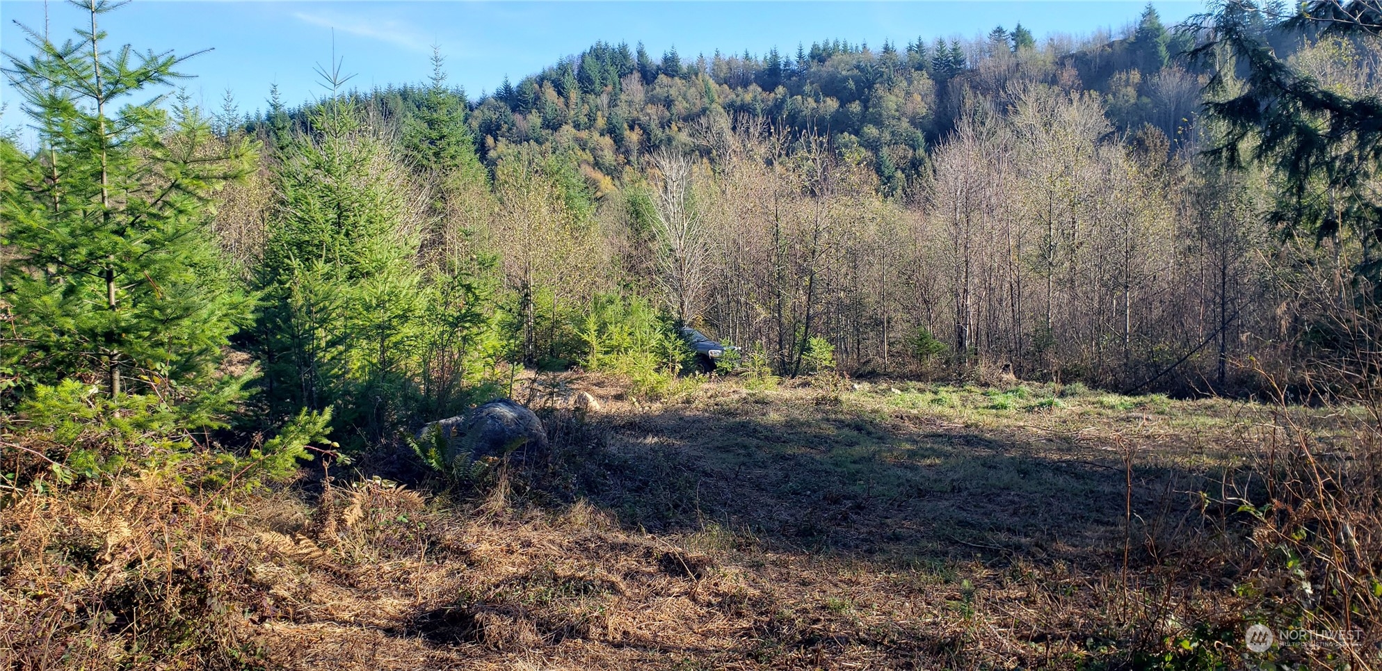 357-lot D Southeast 357-lot D Se Cumberland Ridge Road Southeast Enumclaw, WA 98022 - Photo 25 of 33 a view of a tree with a yard