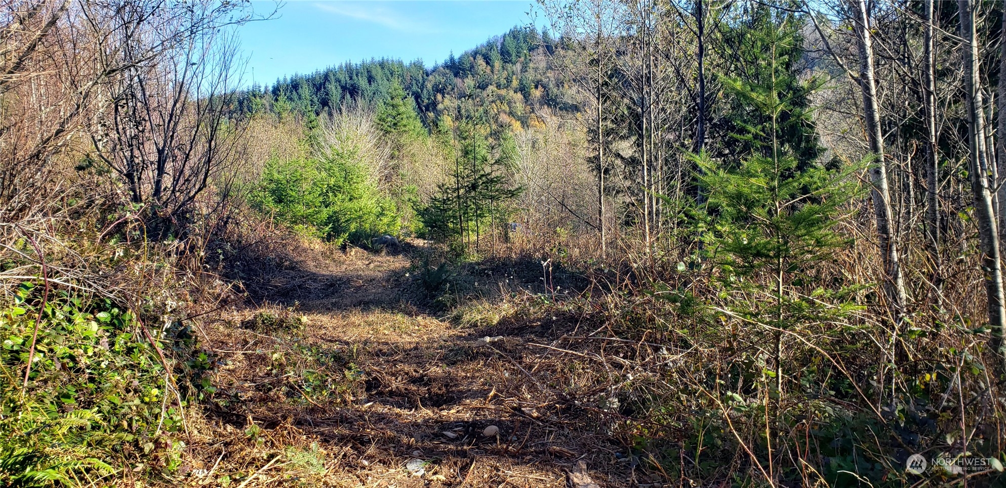 357-lot D Southeast 357-lot D Se Cumberland Ridge Road Southeast Enumclaw, WA 98022 - Photo 26 of 33 a view of a garden with a lake