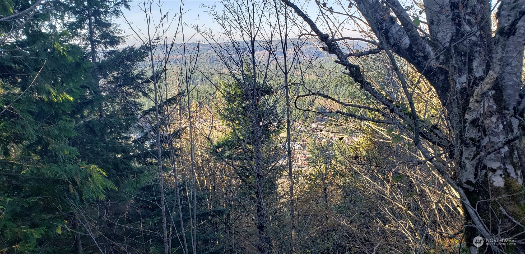 357-lot D Southeast 357-lot D Se Cumberland Ridge Road Southeast Enumclaw, WA 98022 - Photo 27 of 33 a backyard of a house with lots of trees
