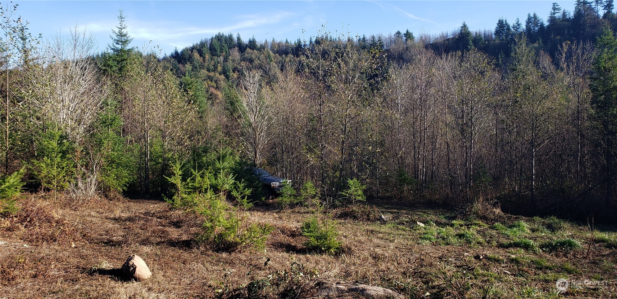 357-lot D Southeast 357-lot D Se Cumberland Ridge Road Southeast Enumclaw, WA 98022 - Photo 28 of 33 a view of a yard and trees