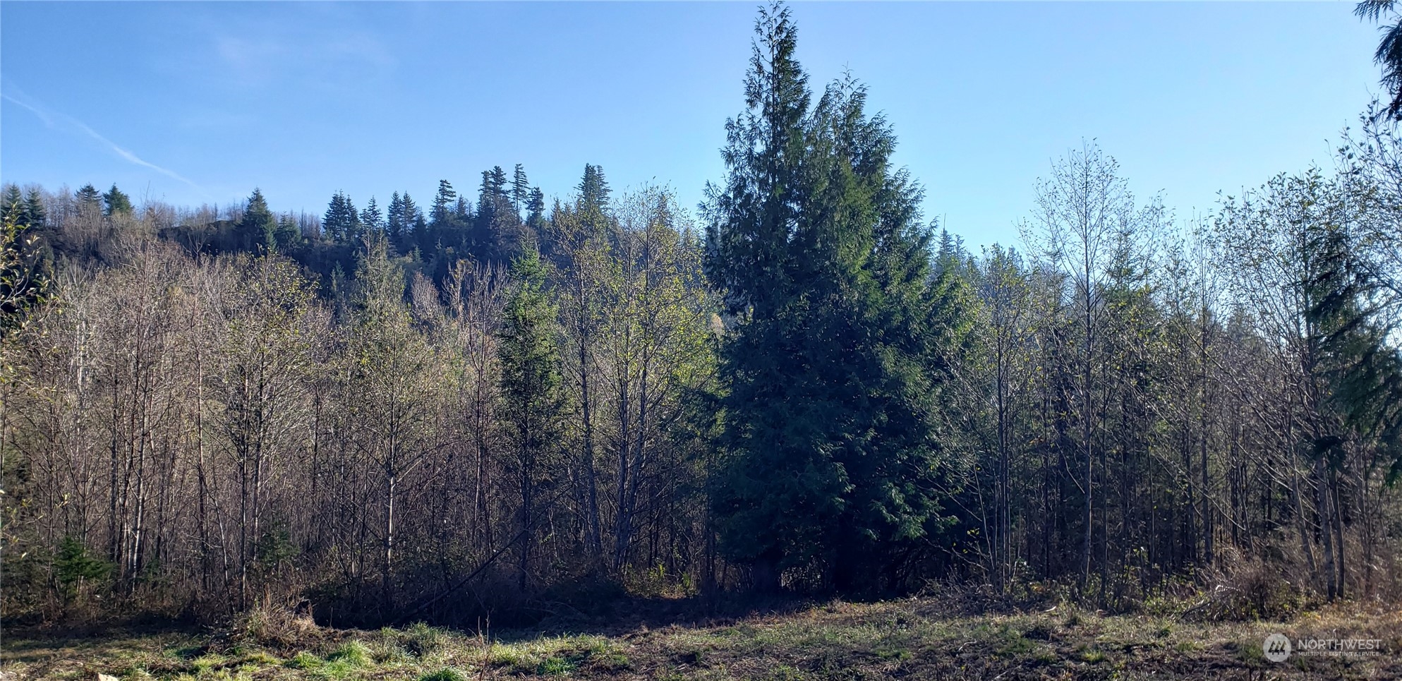 357-lot D Southeast 357-lot D Se Cumberland Ridge Road Southeast Enumclaw, WA 98022 - Photo 29 of 33 a view of a city with lots of trees