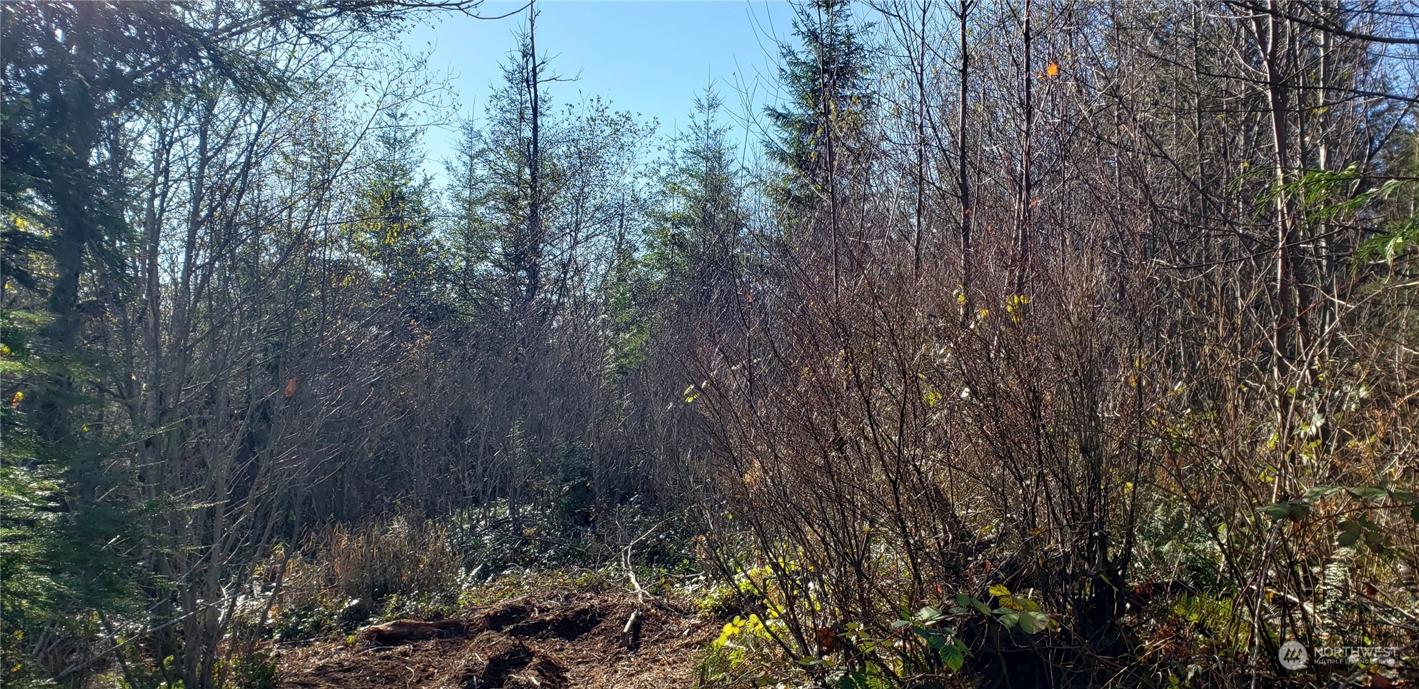 357-lot D Southeast 357-lot D Se Cumberland Ridge Road Southeast Enumclaw, WA 98022 - Photo 5 of 33