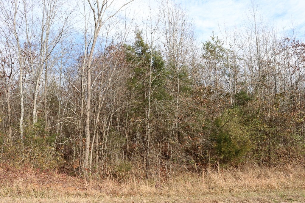 642 Mossing Ford Road, Unit 19 Saxe, VA 23967 - Photo 4 of 5 Gallery Image 4