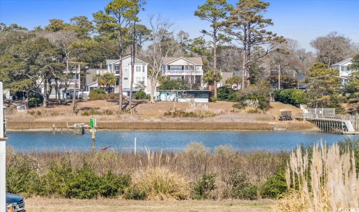 154 SandDollar Drive Holden Beach, NC 28462 - Photo 34 of 39 Water view with a tree filled landscape