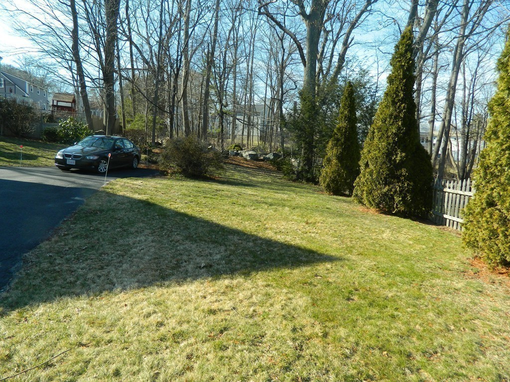 2 Copley Place Canton, MA 02021 - Photo 28 of 28 a view of a yard with large trees
