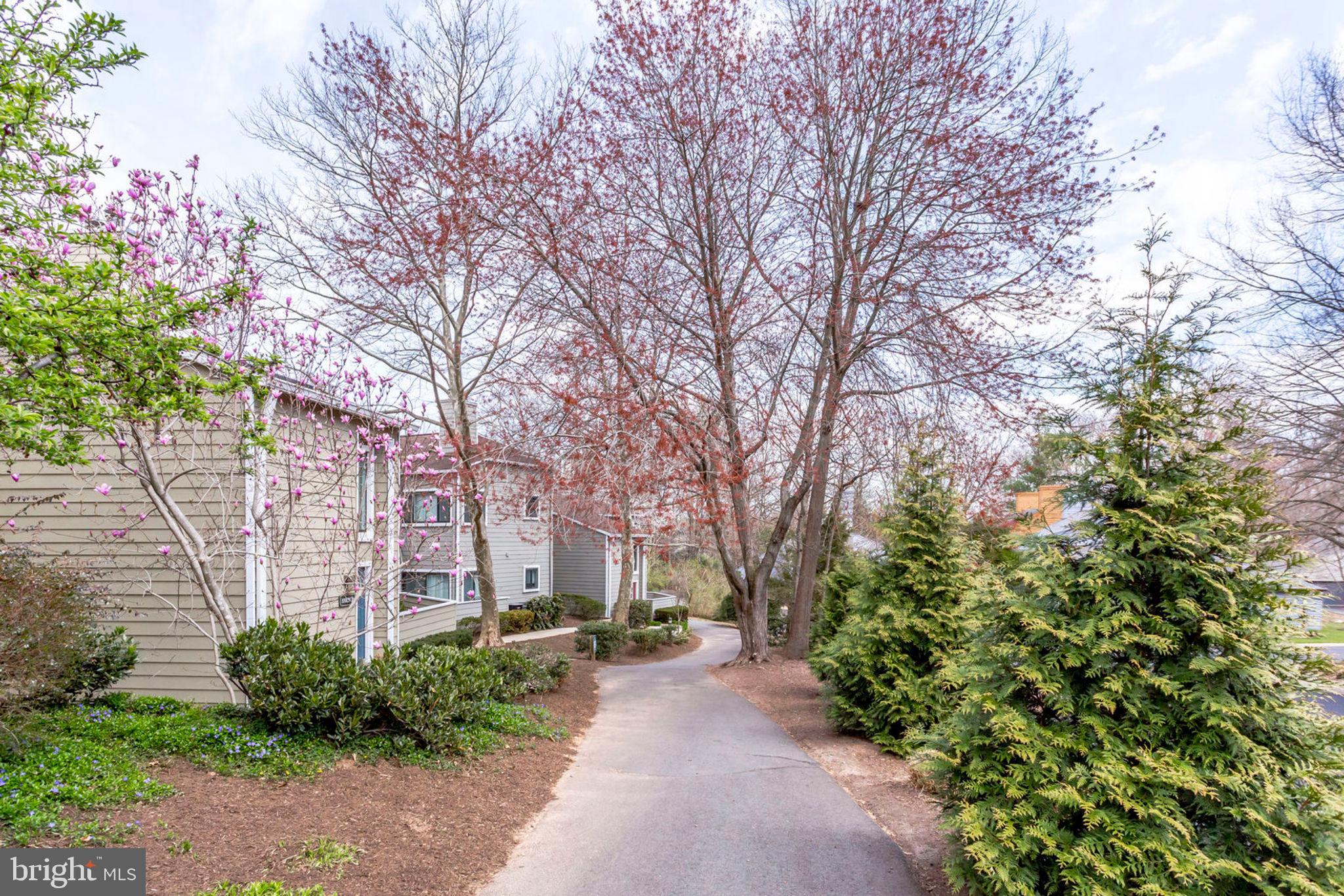 11035 Villaridge Court Reston, VA 20191 - Photo 38 of 57