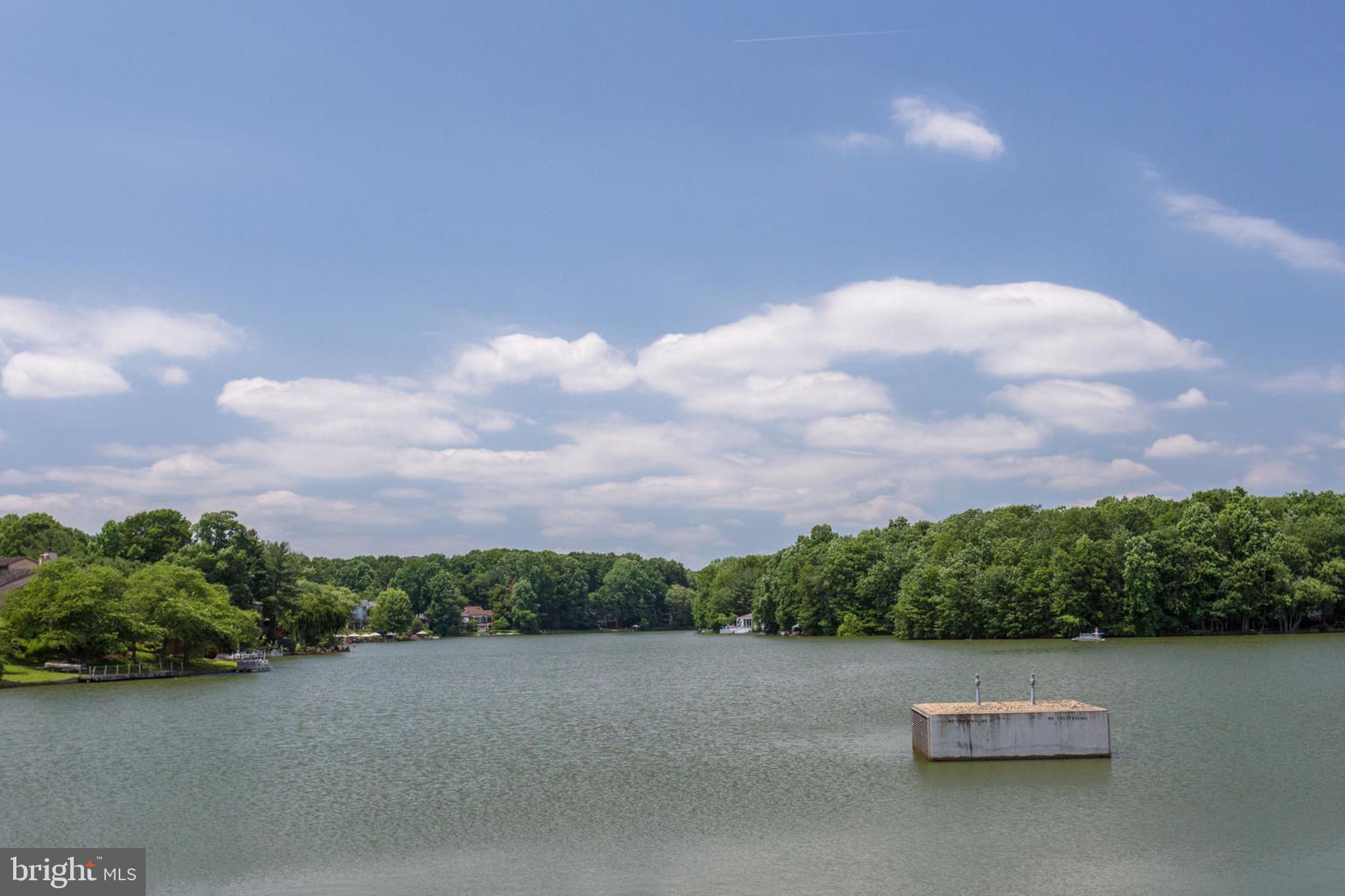 11035 Villaridge Court Reston, VA 20191 - Photo 45 of 57