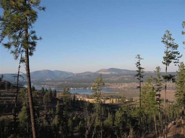 0 West Charles Road, Unit B Ford, WA 99013 - Photo 1 of 1
