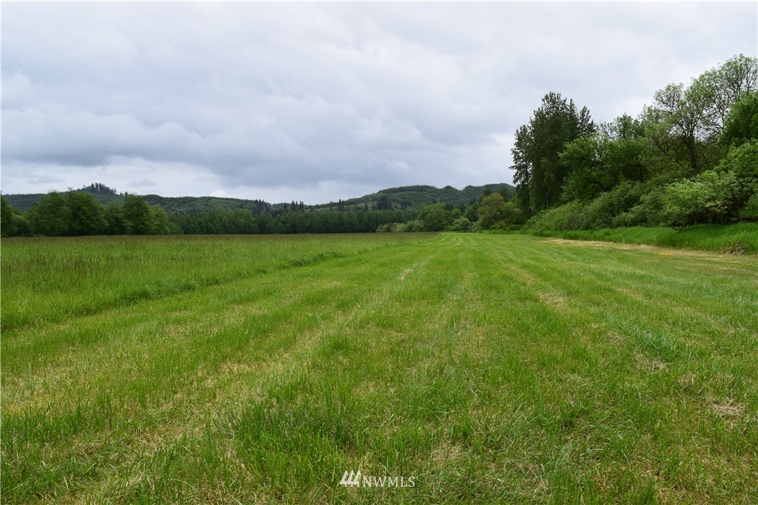 65 Simmons Road Montesano, WA 98563 - Photo 15 of 25 Gallery Image 15