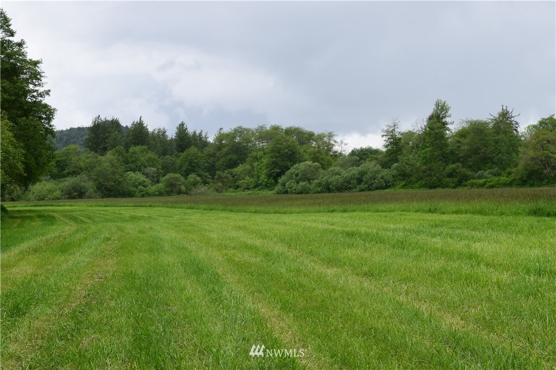 65 Simmons Road Montesano, WA 98563 - Photo 20 of 25 Gallery Image 20