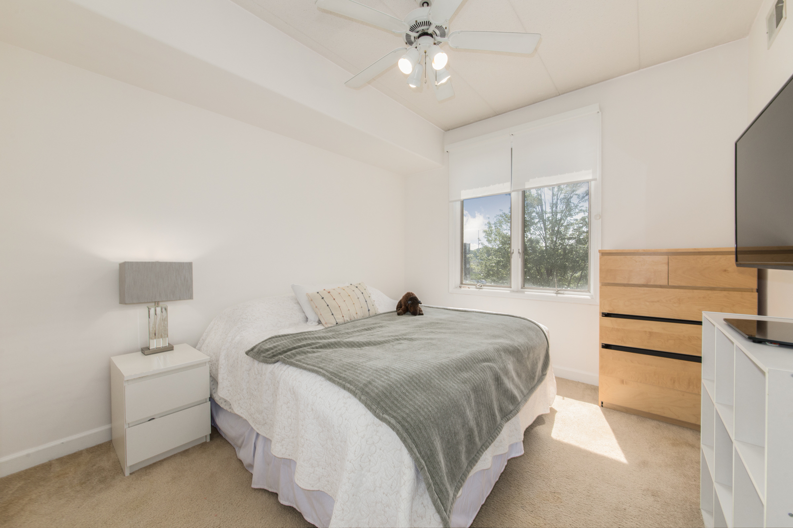 1705 Pavilion Way, Unit 303 Park Ridge, IL 60068 - Photo 13 of 20 Gallery Image 13