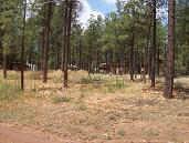 2161 Wildflower Road, Unit 136 Overgaard, AZ 85933 - Photo 3 of 4 Additional Photo