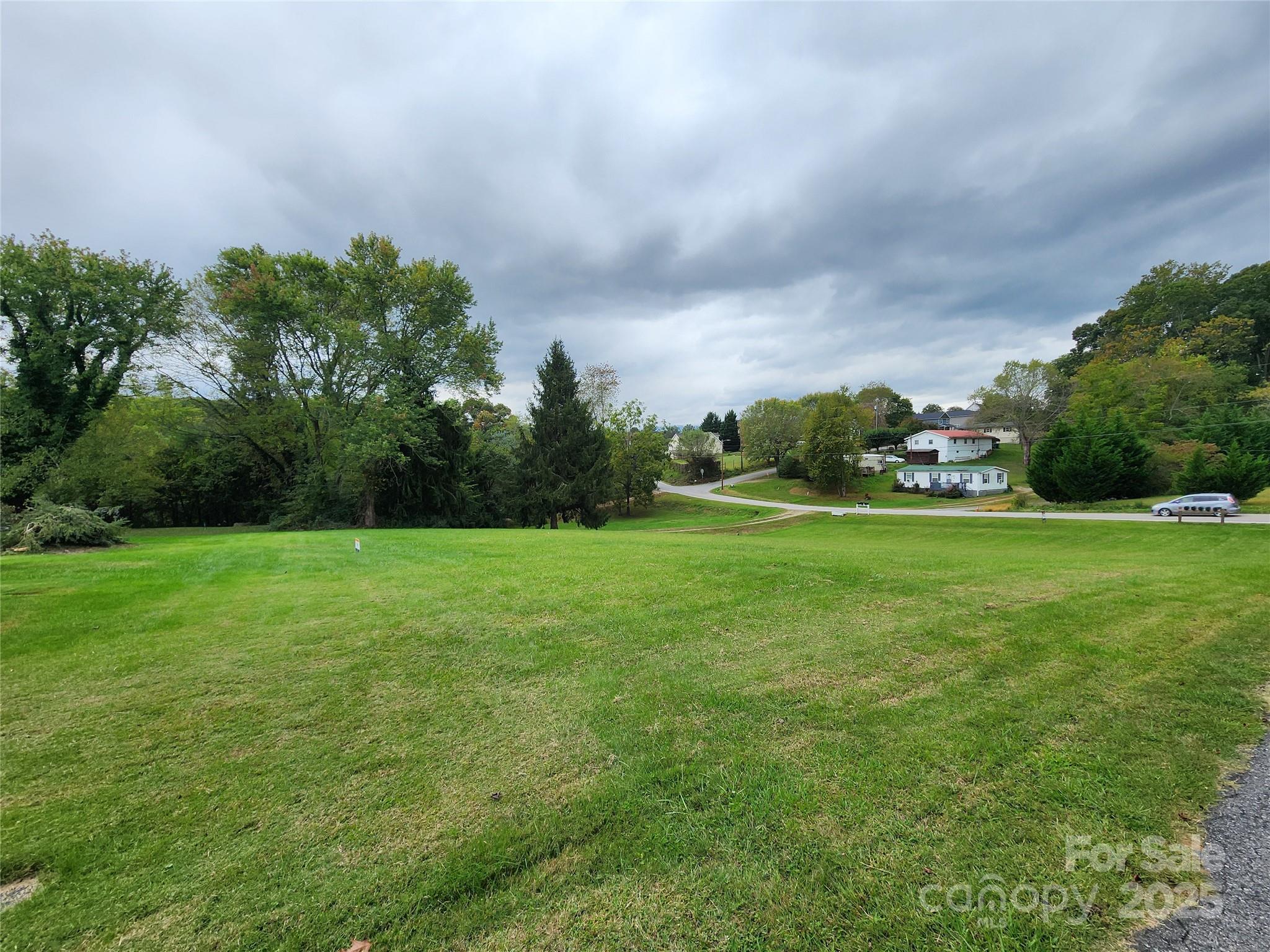 Tbd Morgan Road Candler, NC 28715 - Photo 2 of 7 a view of yard with grass & trees