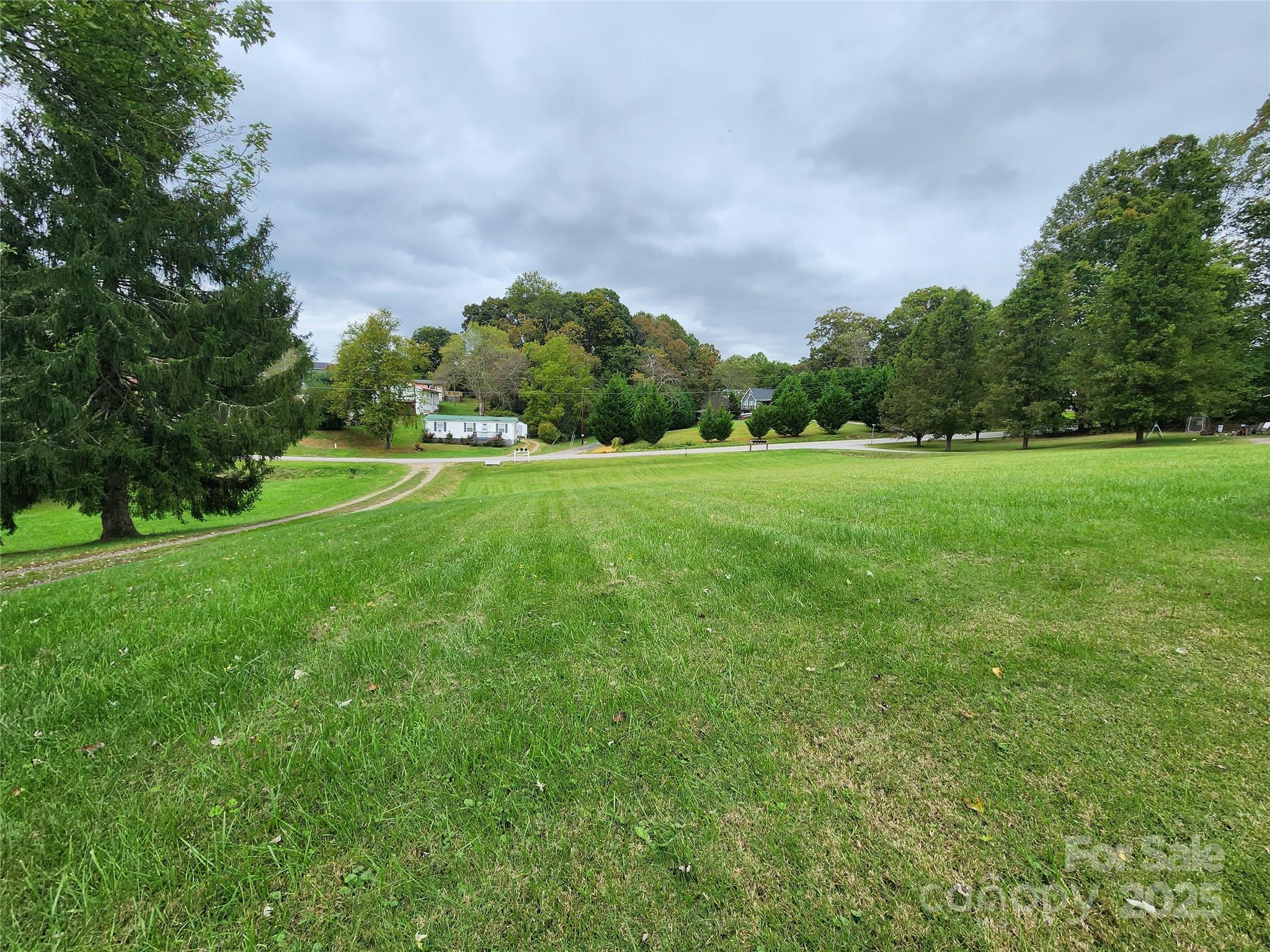 Tbd Morgan Road Candler, NC 28715 - Photo 7 of 7 a big yard with lots of green space and deers