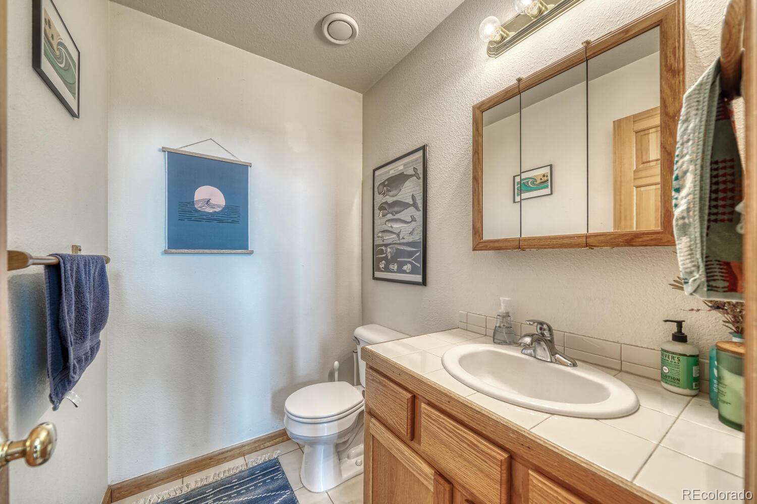 50 Ridge Lane Bailey, CO 80421 - Photo 11 of 37 a bathroom with a sink a toilet and a mirror