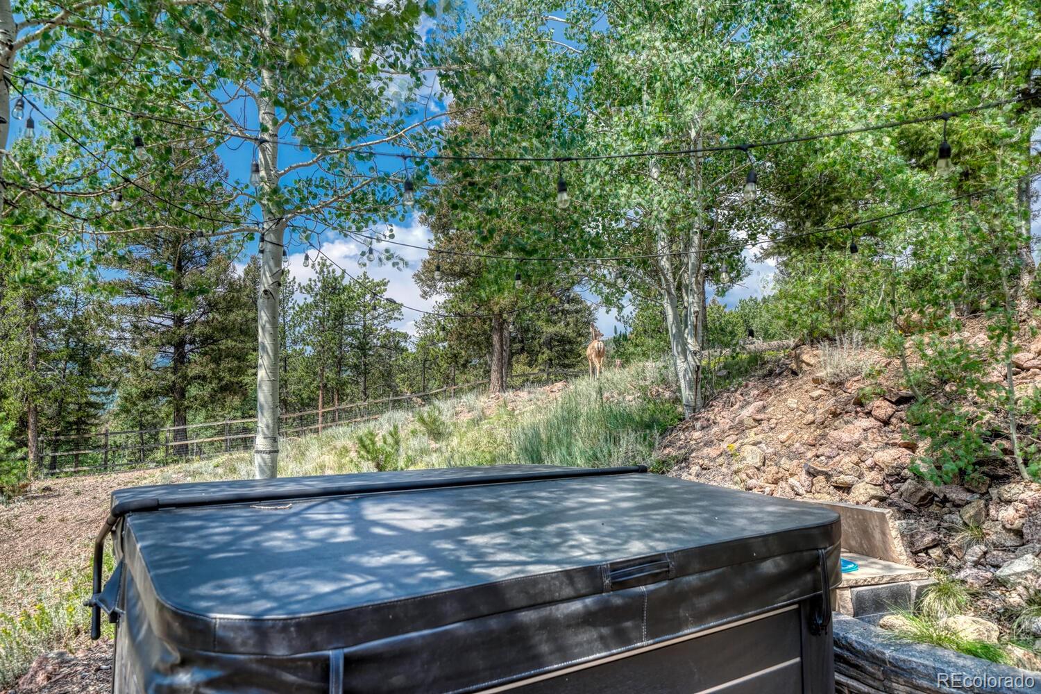 50 Ridge Lane Bailey, CO 80421 - Photo 27 of 37 a view of a wooden floor with a tree