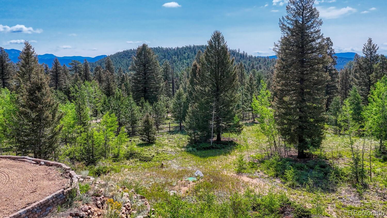 50 Ridge Lane Bailey, CO 80421 - Photo 29 of 37 a view of a yard with trees