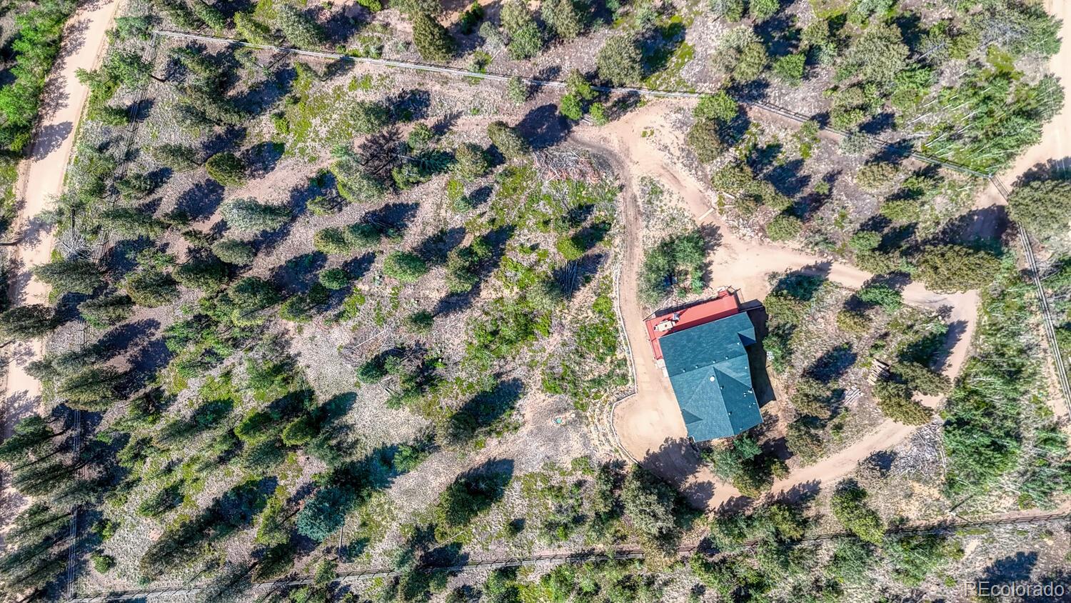 50 Ridge Lane Bailey, CO 80421 - Photo 31 of 37 an aerial view of a house with a yard and large trees