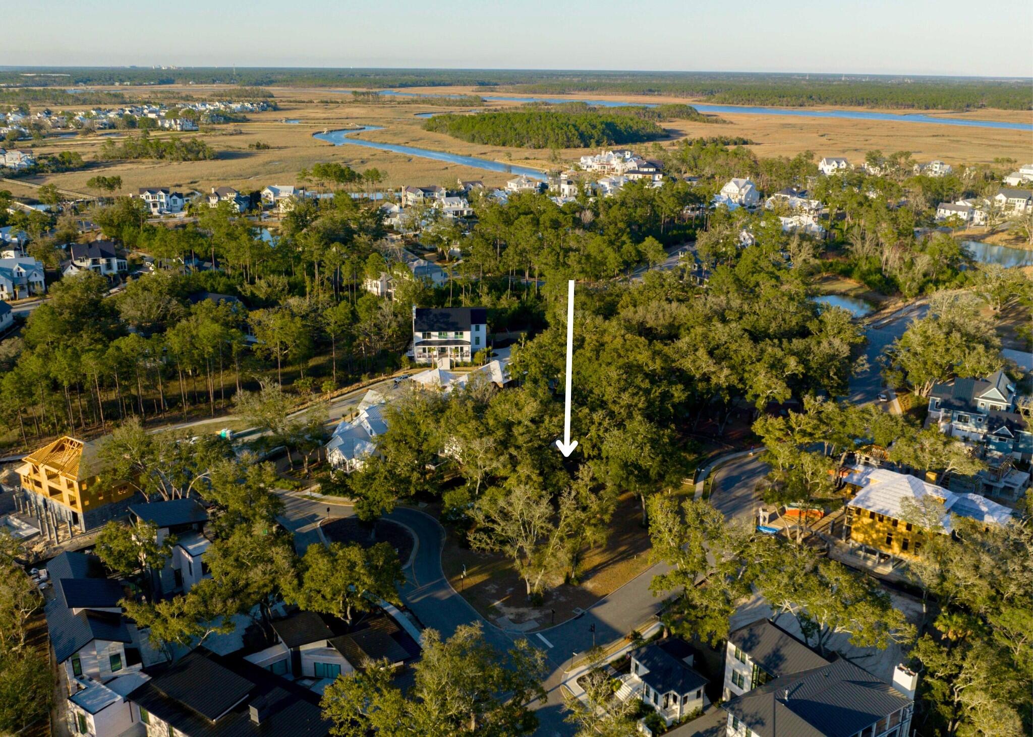 412 Wayfaring Point Daniel Island, SC 29492 - Photo 22 of 40 photo_022