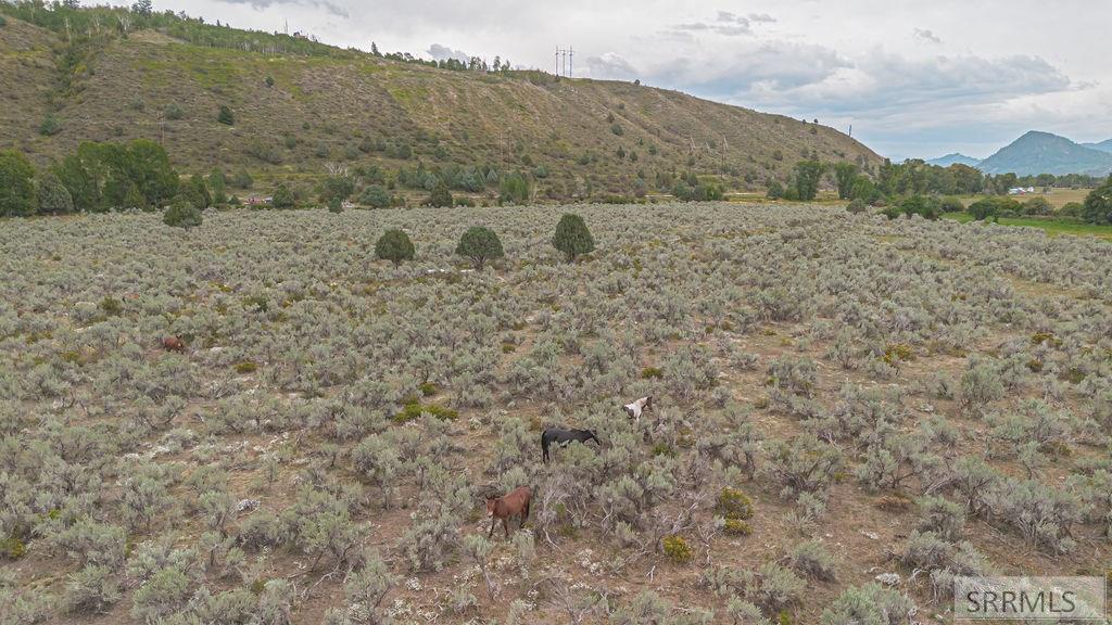 Tbd Old Irwin Road Irwin, ID 83428 - Photo 15 of 35