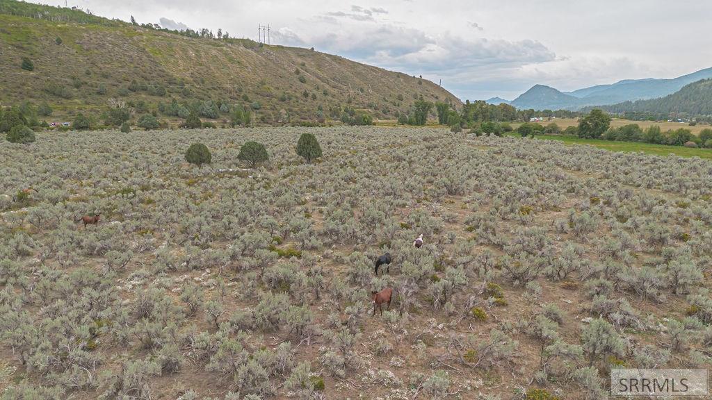 Tbd Old Irwin Road Irwin, ID 83428 - Photo 16 of 35