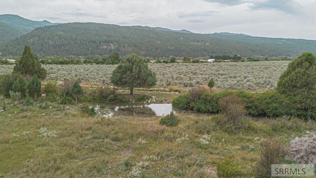 Tbd Old Irwin Road Irwin, ID 83428 - Photo 17 of 35