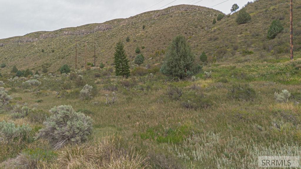 Tbd Old Irwin Road Irwin, ID 83428 - Photo 8 of 35