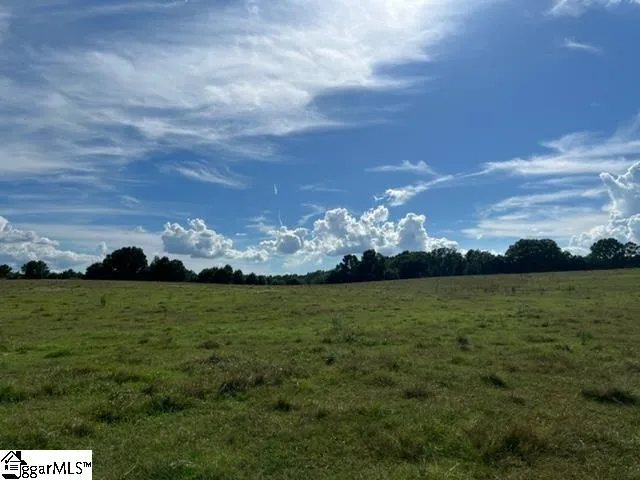 $2,999,993 | 1324 Easy Road, Laurens, SC 29360