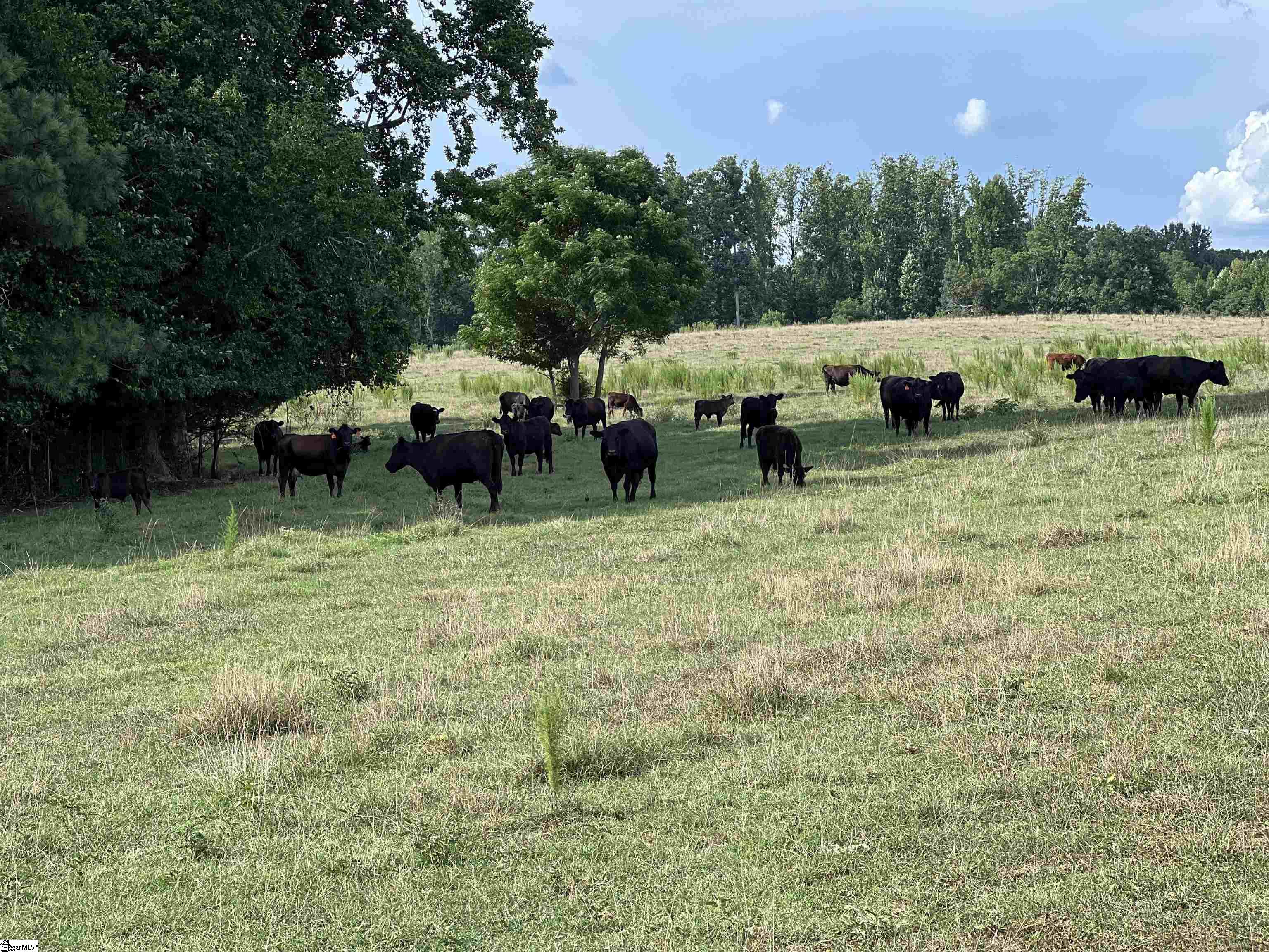 1324 Easy Road Laurens, SC 29360 - Photo 13 of 23