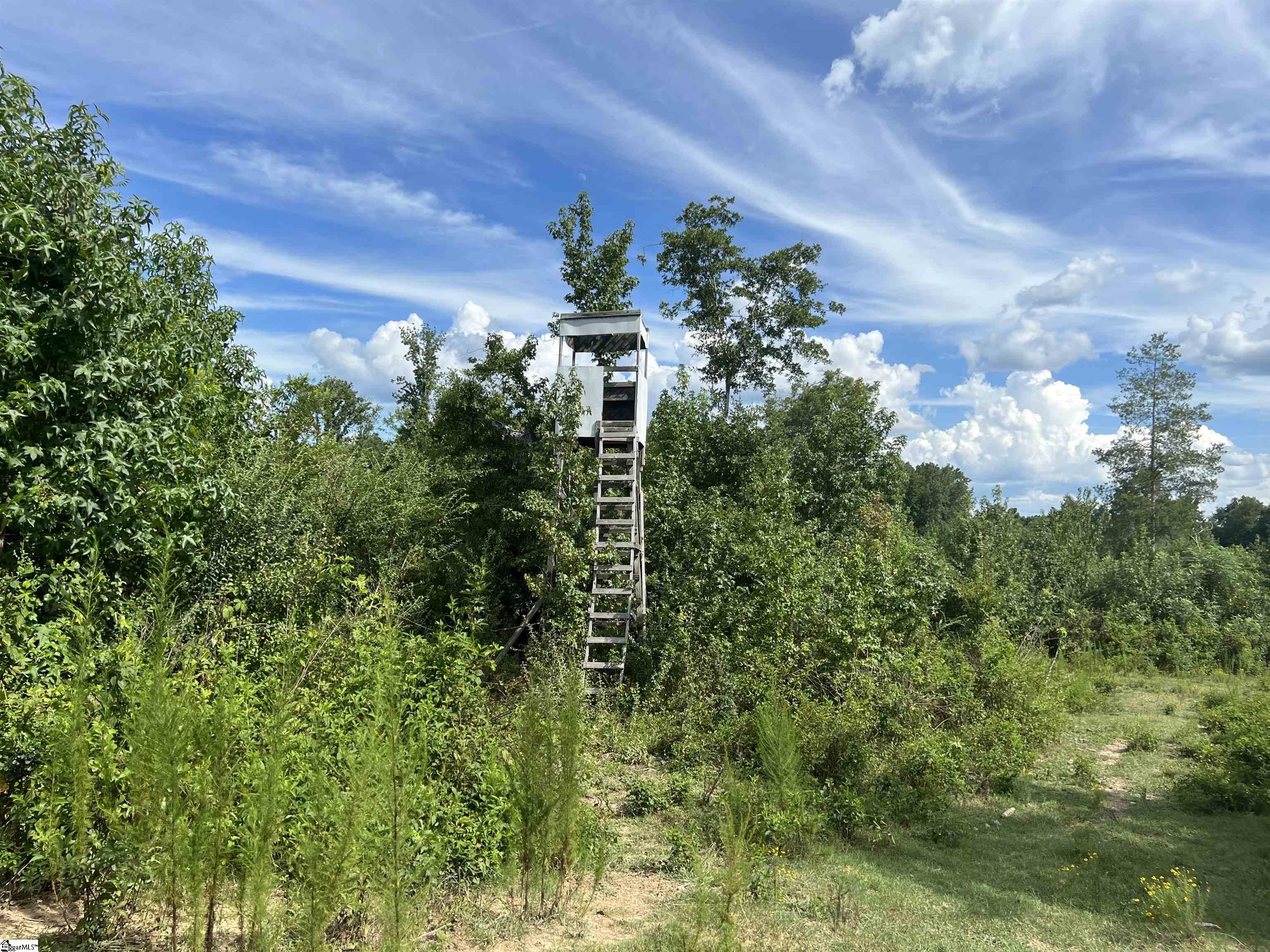 1324 Easy Road Laurens, SC 29360 - Photo 14 of 23