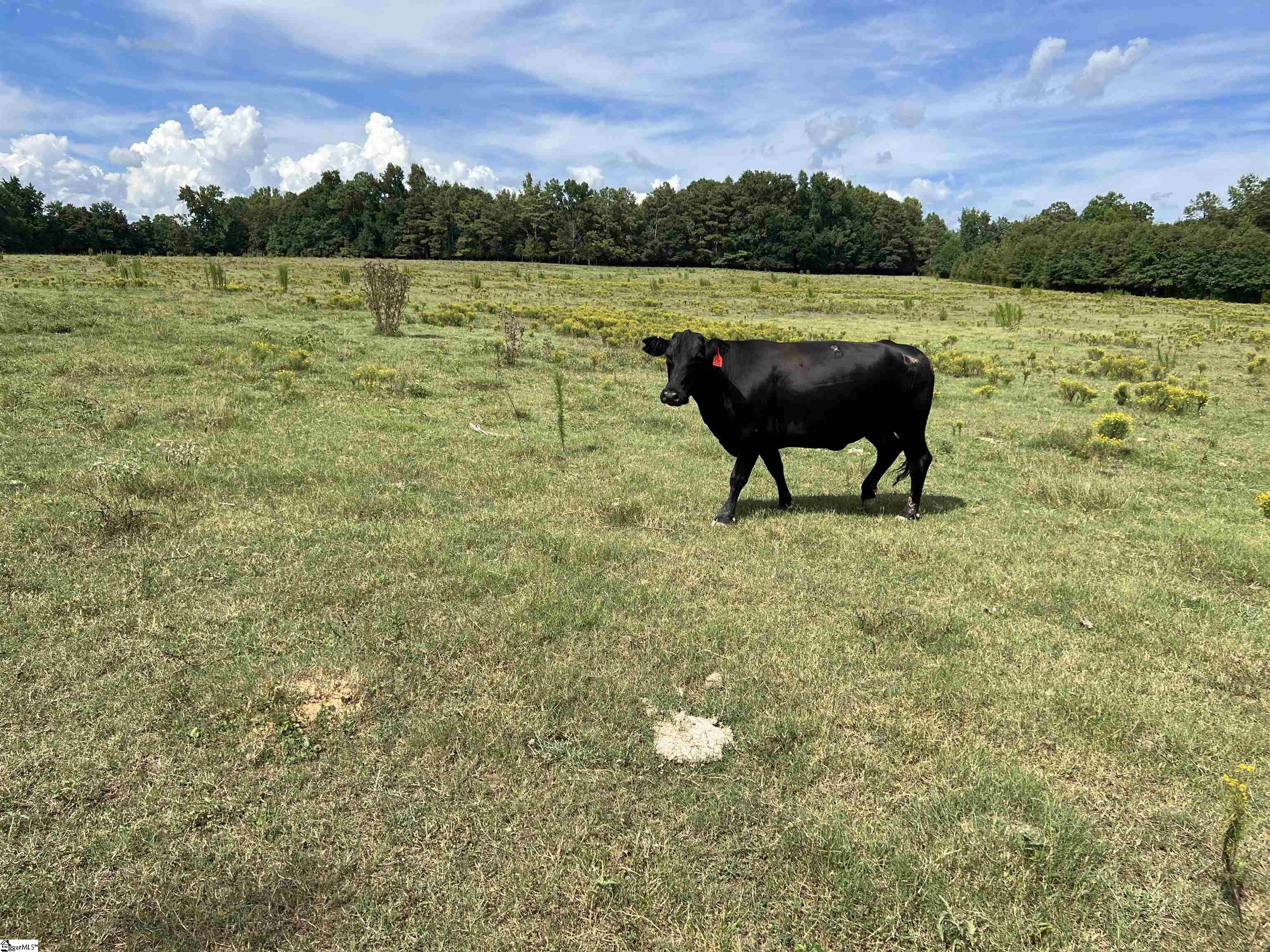 1324 Easy Road Laurens, SC 29360 - Photo 15 of 23
