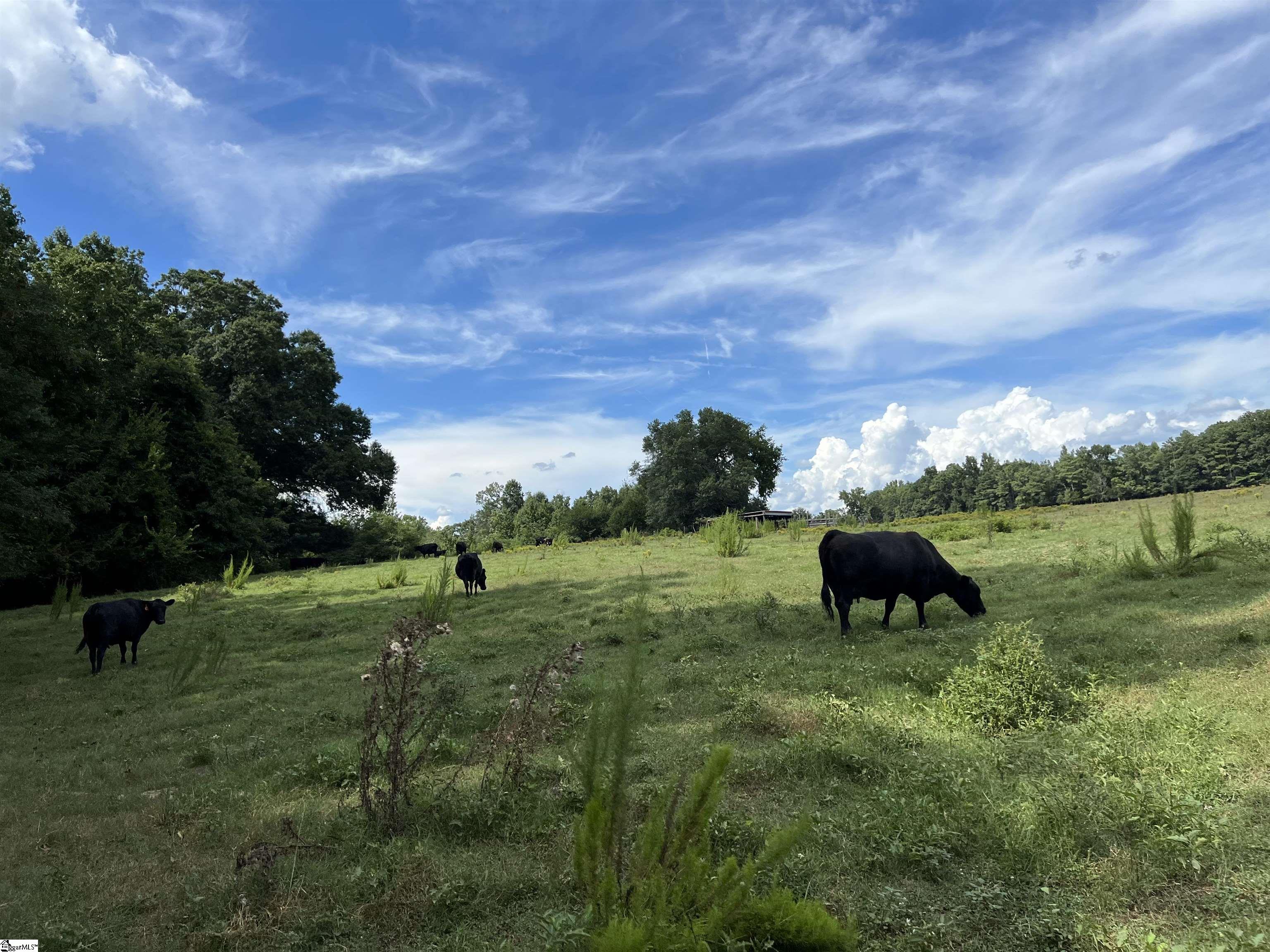 1324 Easy Road Laurens, SC 29360 - Photo 17 of 23