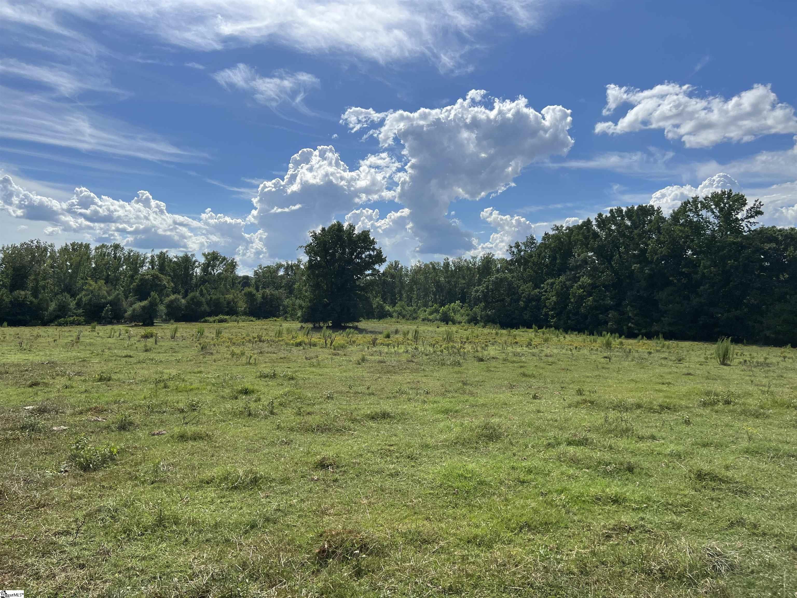 1324 Easy Road Laurens, SC 29360 - Photo 18 of 23