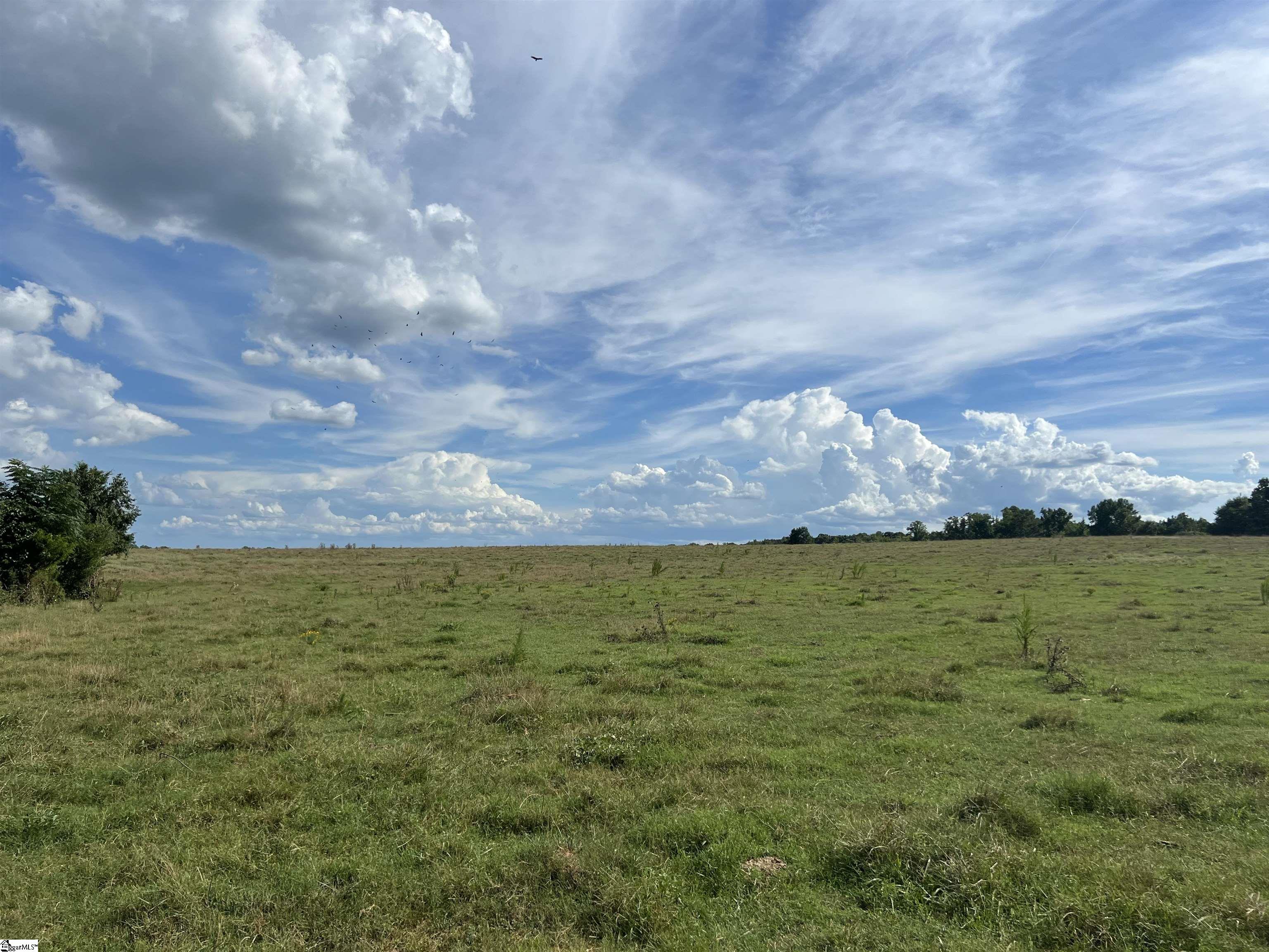 1324 Easy Road Laurens, SC 29360 - Photo 23 of 23